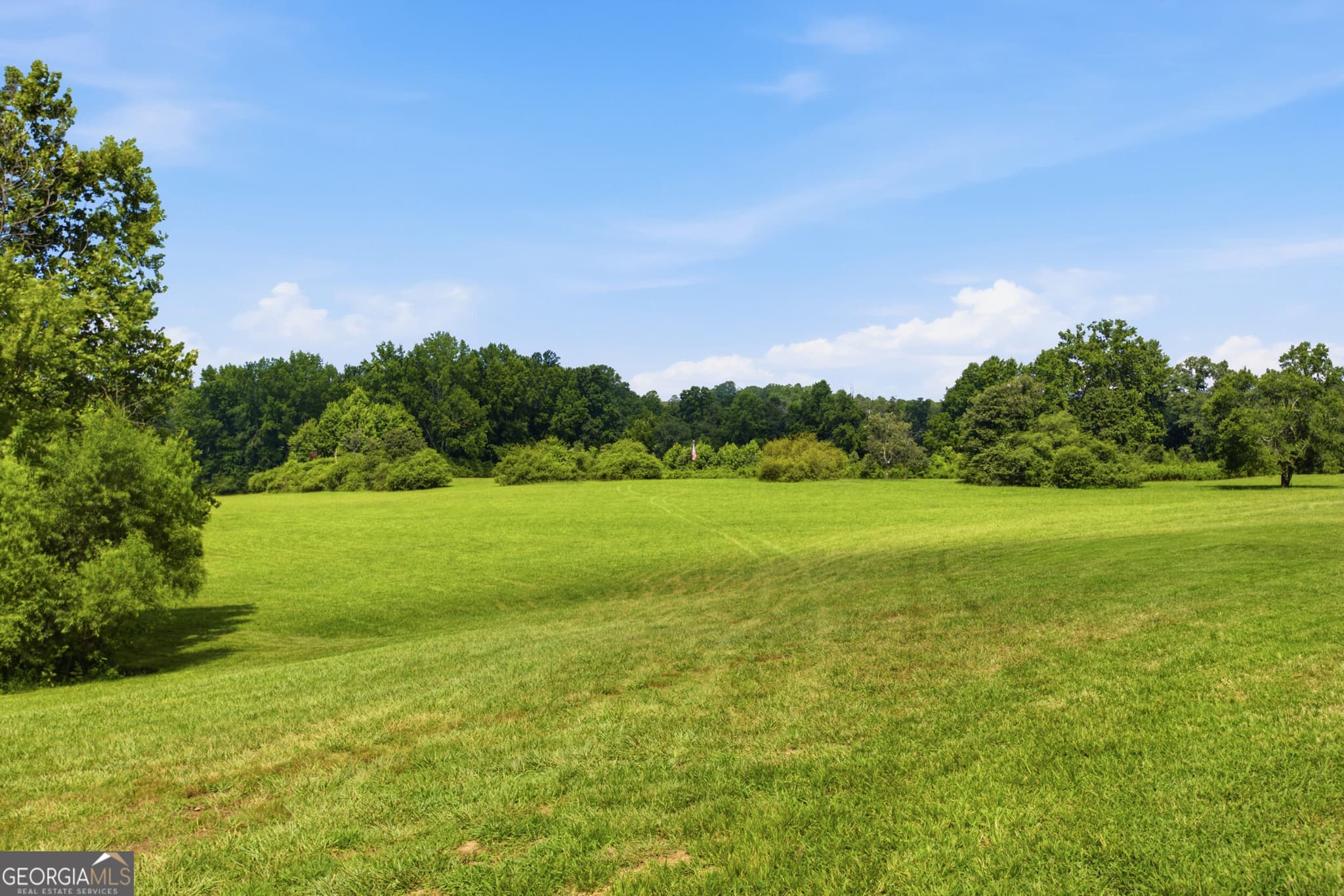 unimproved land for sale at 0 Amys Creek Road 12 AC, Clarkesville, GA 30523 — photo 4