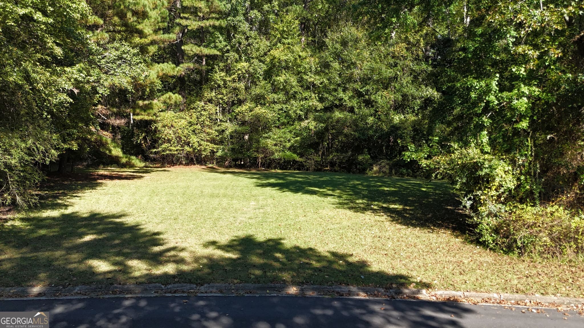 residential lot for sale at 150 Turnberry Circle, Fayetteville, GA 30215 — photo 9