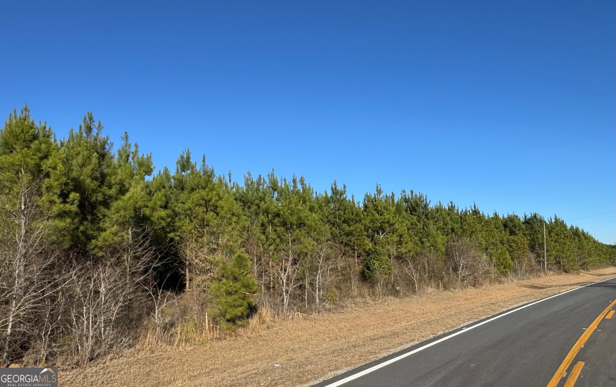 residential lot for sale at LOT 5A Whitfield Road, Elko, GA 31025 — photo 2