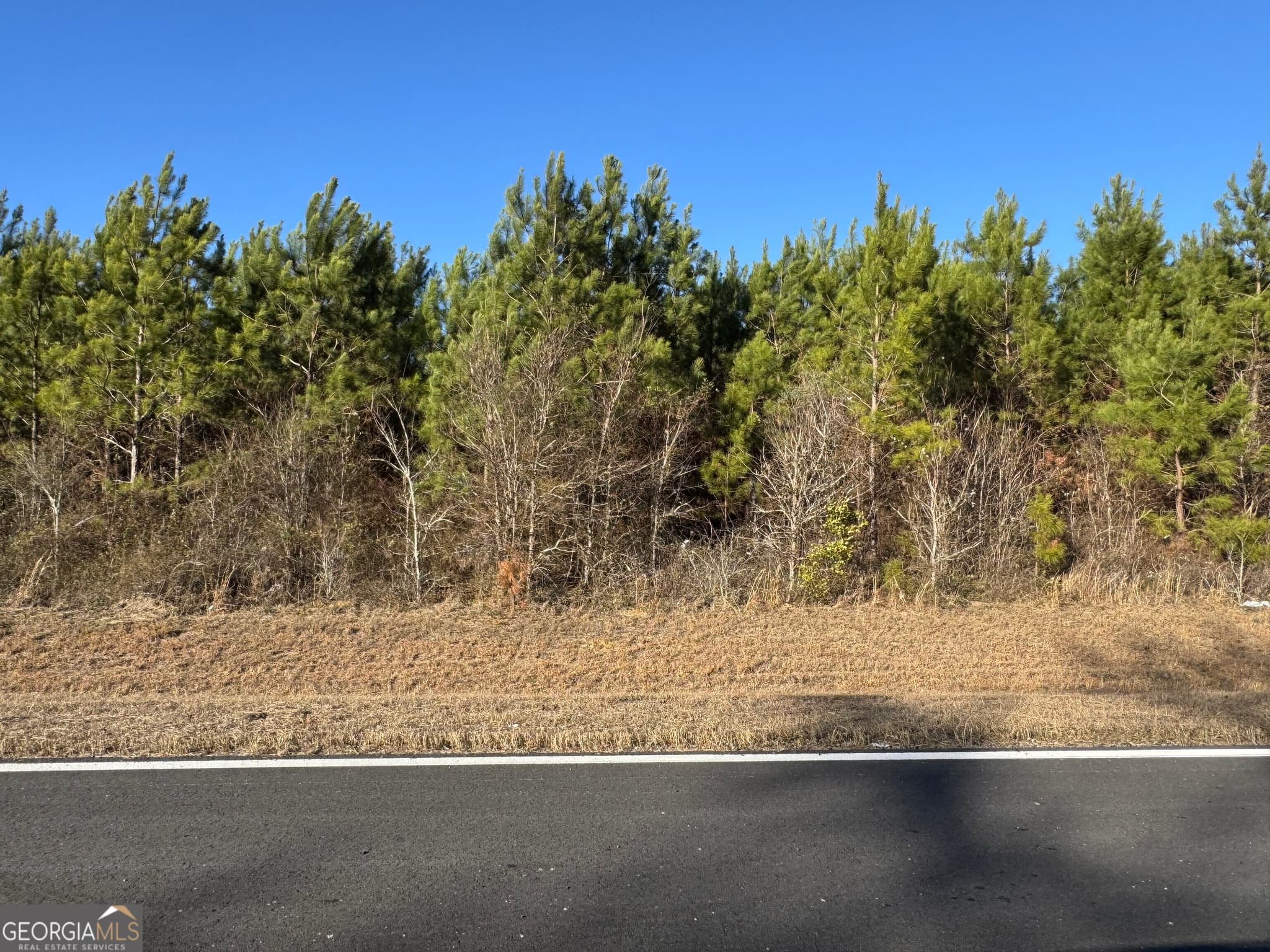 residential lot for sale at LOT 5A Whitfield Road, Elko, GA 31025 — photo 1 of 5