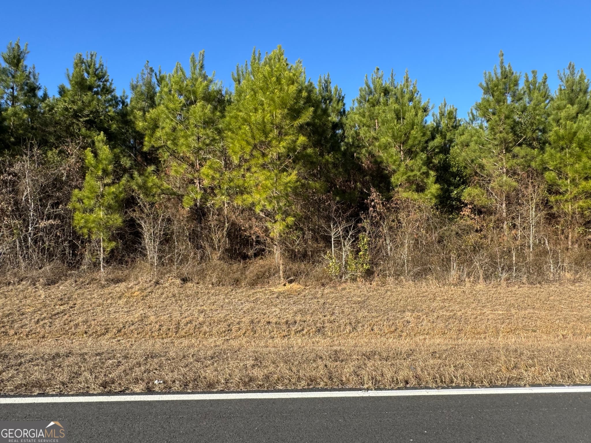 residential lot for sale at LOT 5A Whitfield Road, Elko, GA 31025 — photo 5