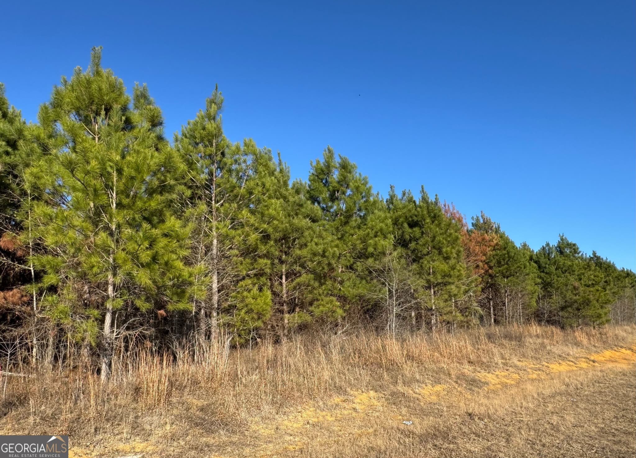 residential lot for sale at LOT 5A Whitfield Road, Elko, GA 31025 — photo 4