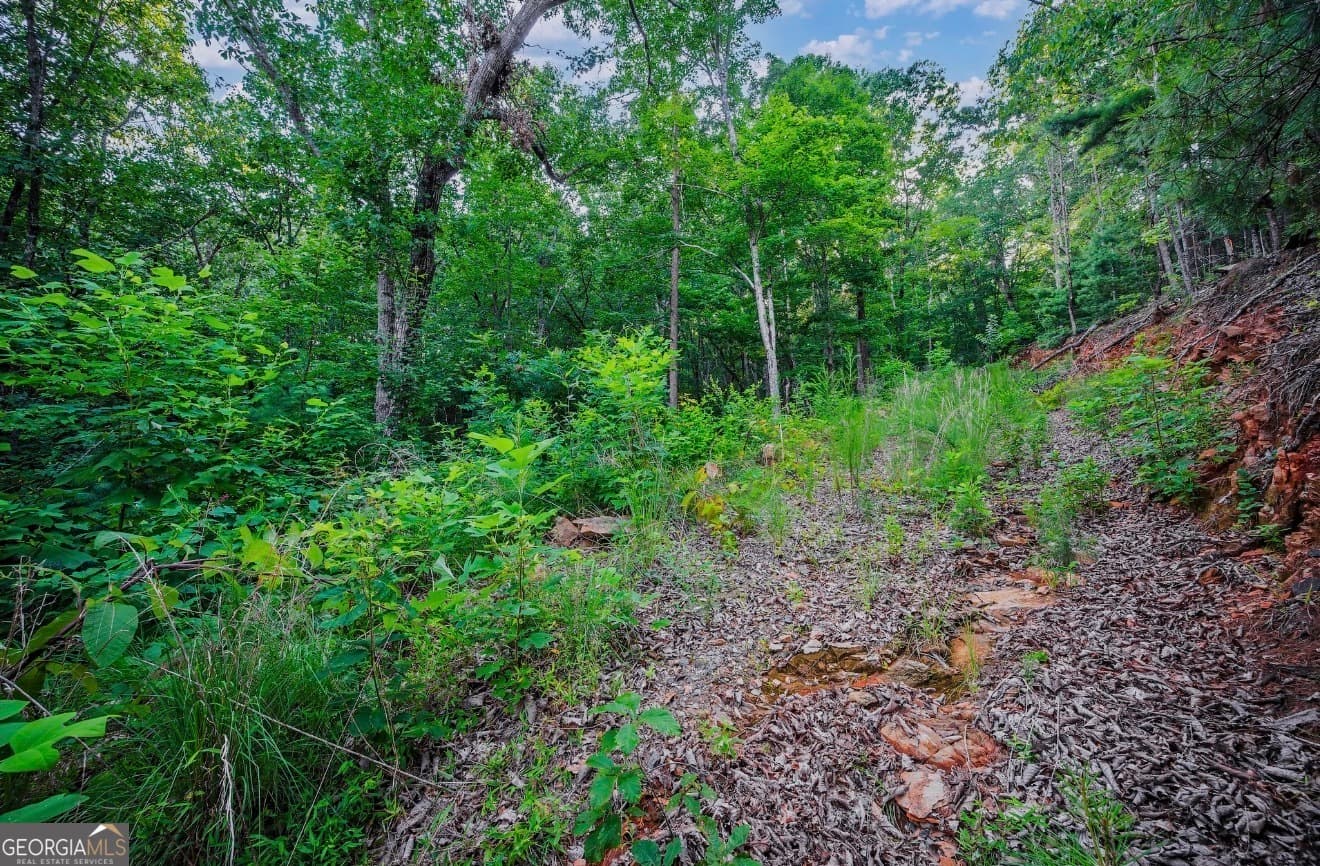 residential lot for sale at LT 760 Morton Drive, Ellijay, GA 30540 — photo 2