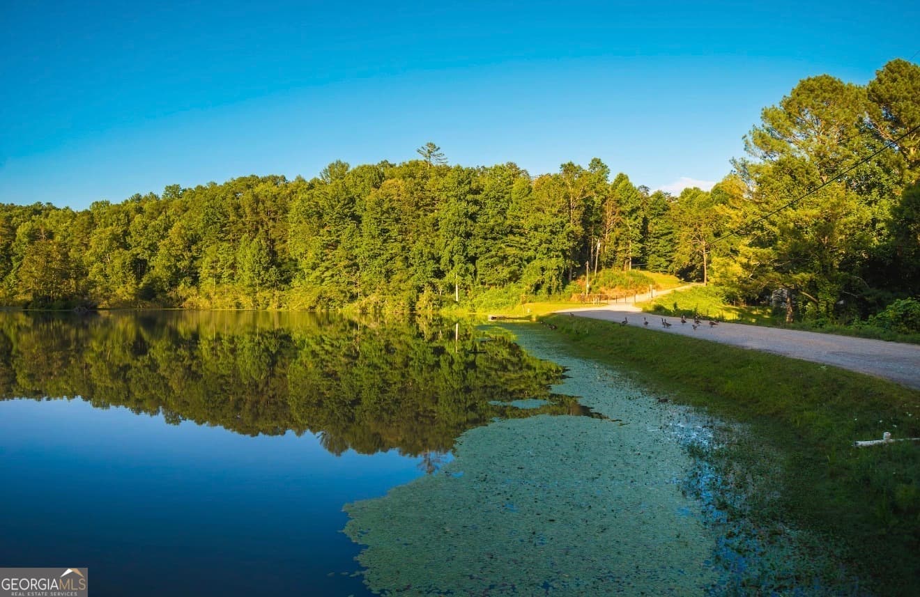 residential lot for sale at LT 760 Morton Drive, Ellijay, GA 30540 — photo 6