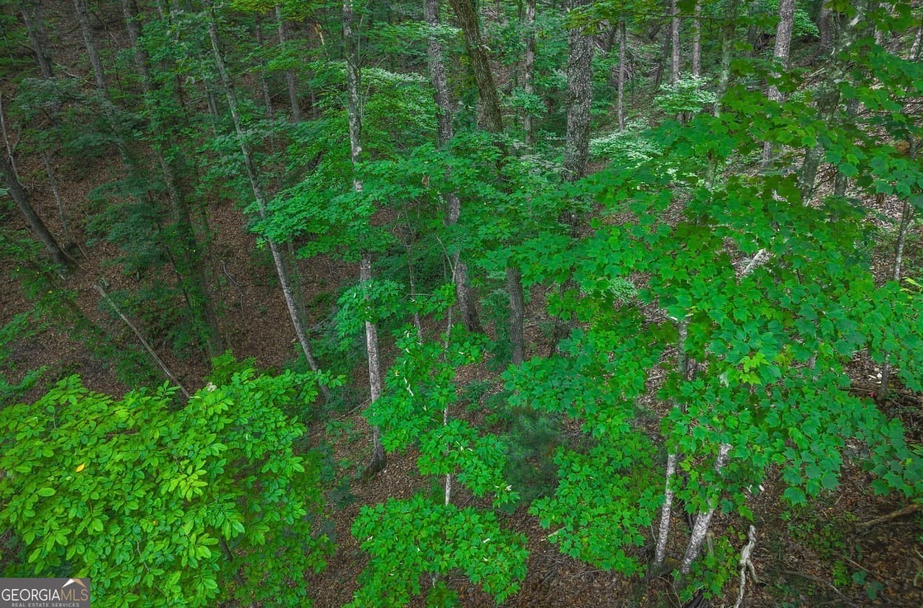 residential lot for sale at LT 760 Morton Drive, Ellijay, GA 30540 — photo 4