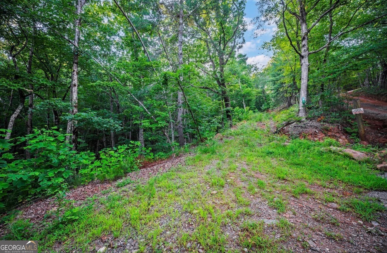 residential lot for sale at LT 760 Morton Drive, Ellijay, GA 30540 — photo 1 of 7