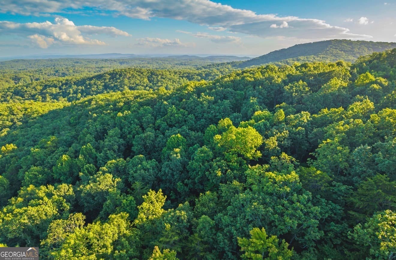 residential lot for sale at LT 760 Morton Drive, Ellijay, GA 30540 — photo 5