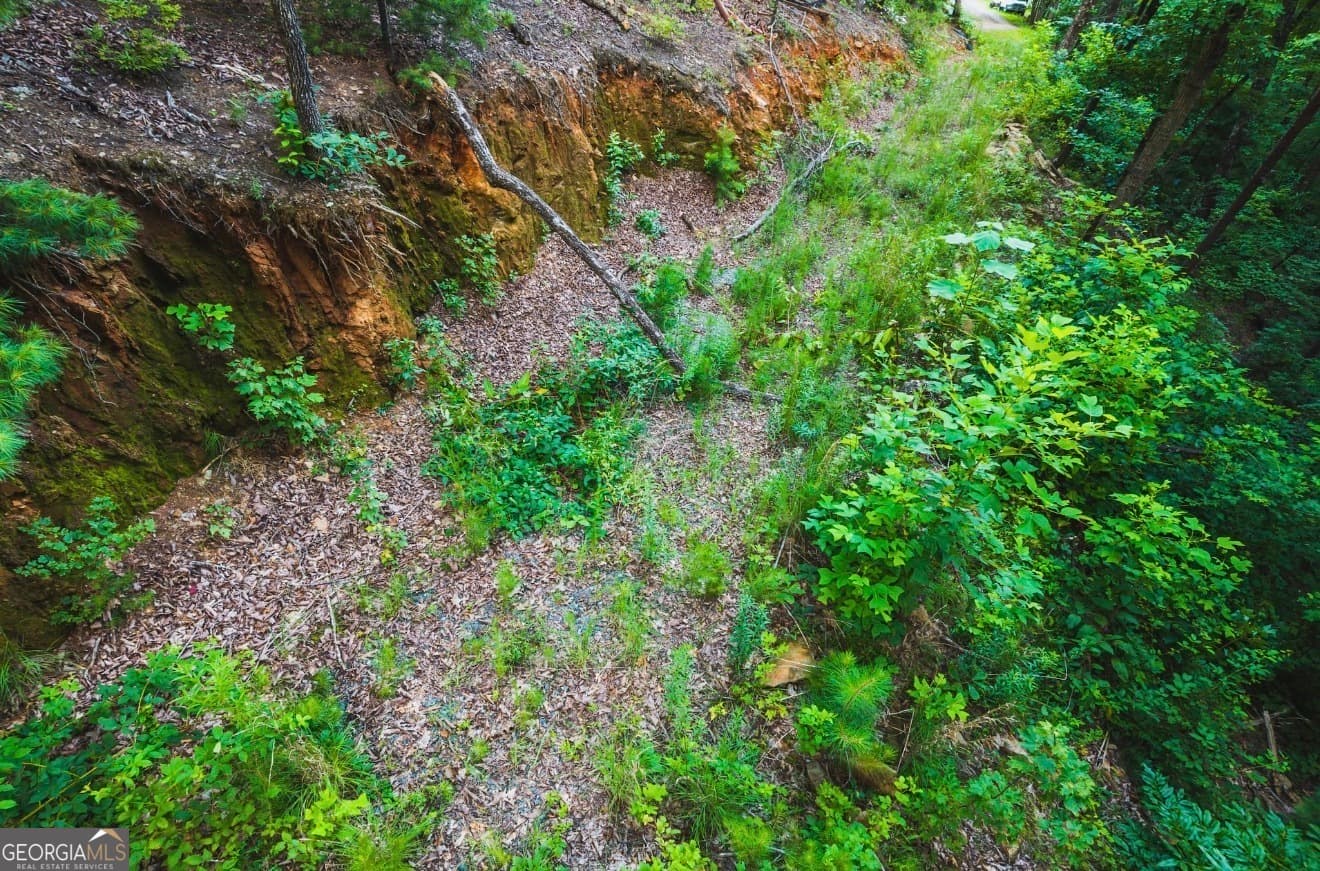 residential lot for sale at LT 760 Morton Drive, Ellijay, GA 30540 — photo 3