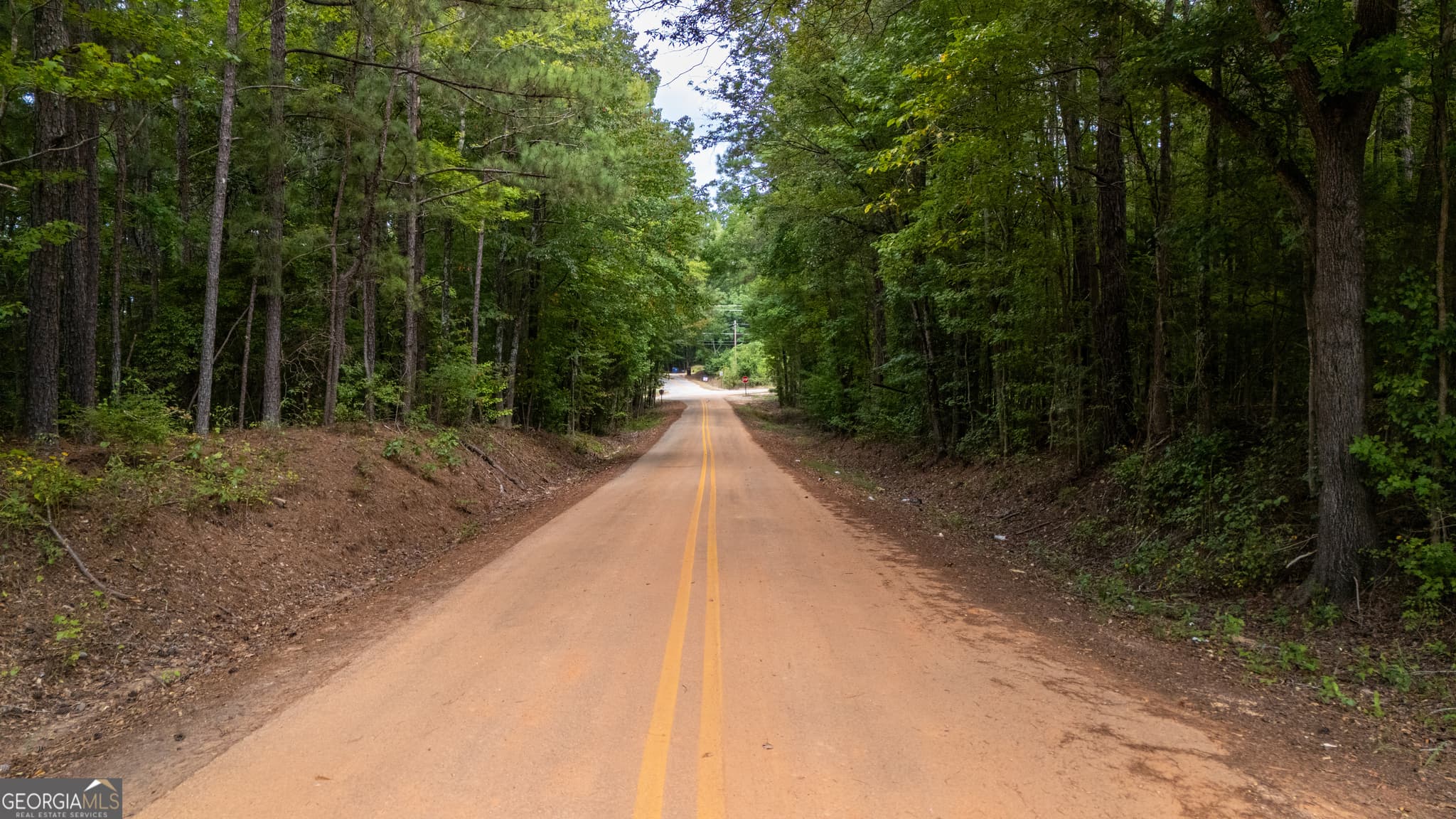 unimproved land for sale at 0 Rock Castle Road, Opelika, AL 36804 — photo 4