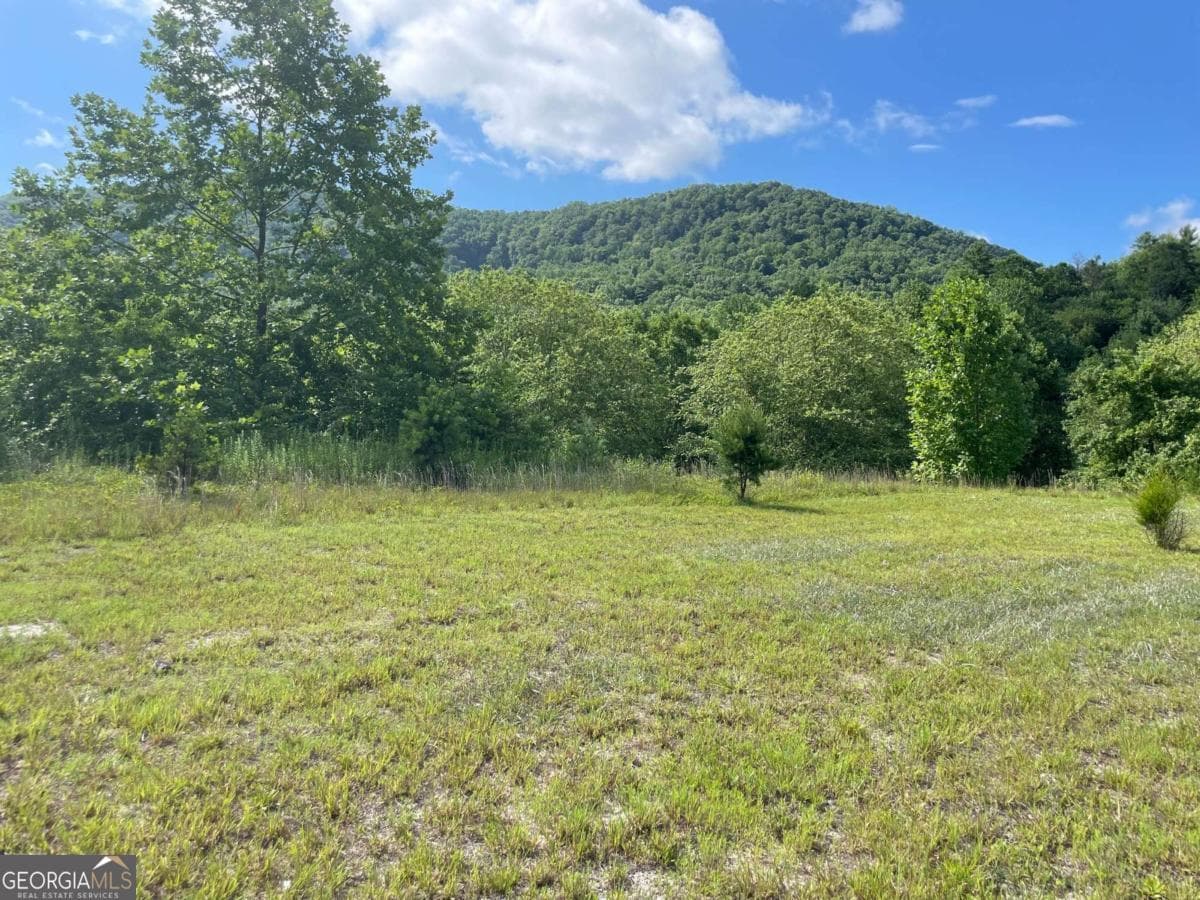 unimproved land for sale at 0 Mountain Ridge Drive, Rabun Gap, GA 30568 — photo 1 of 10