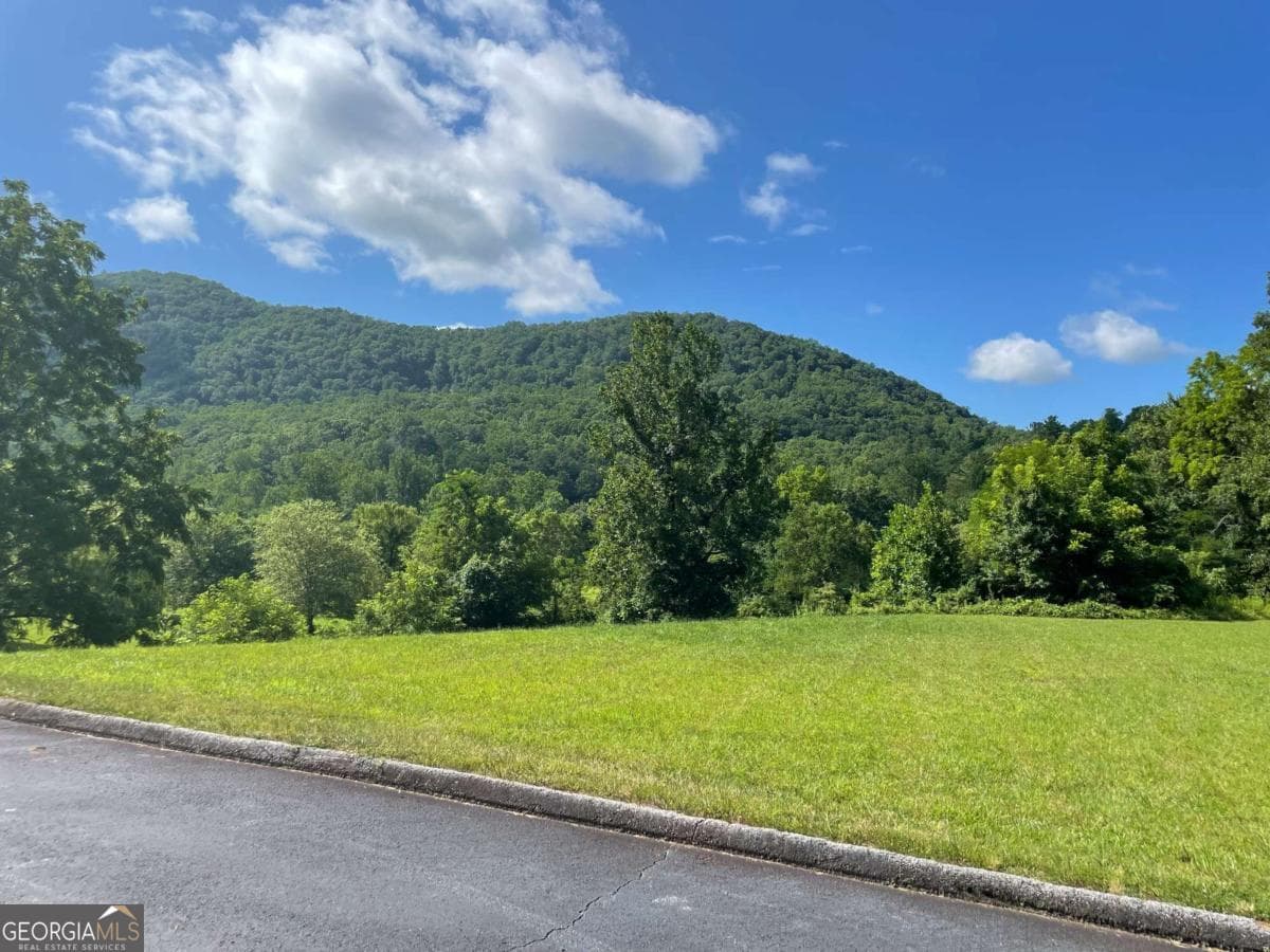 unimproved land for sale at 0 Mountain Ridge Drive, Rabun Gap, GA 30568 — photo 5