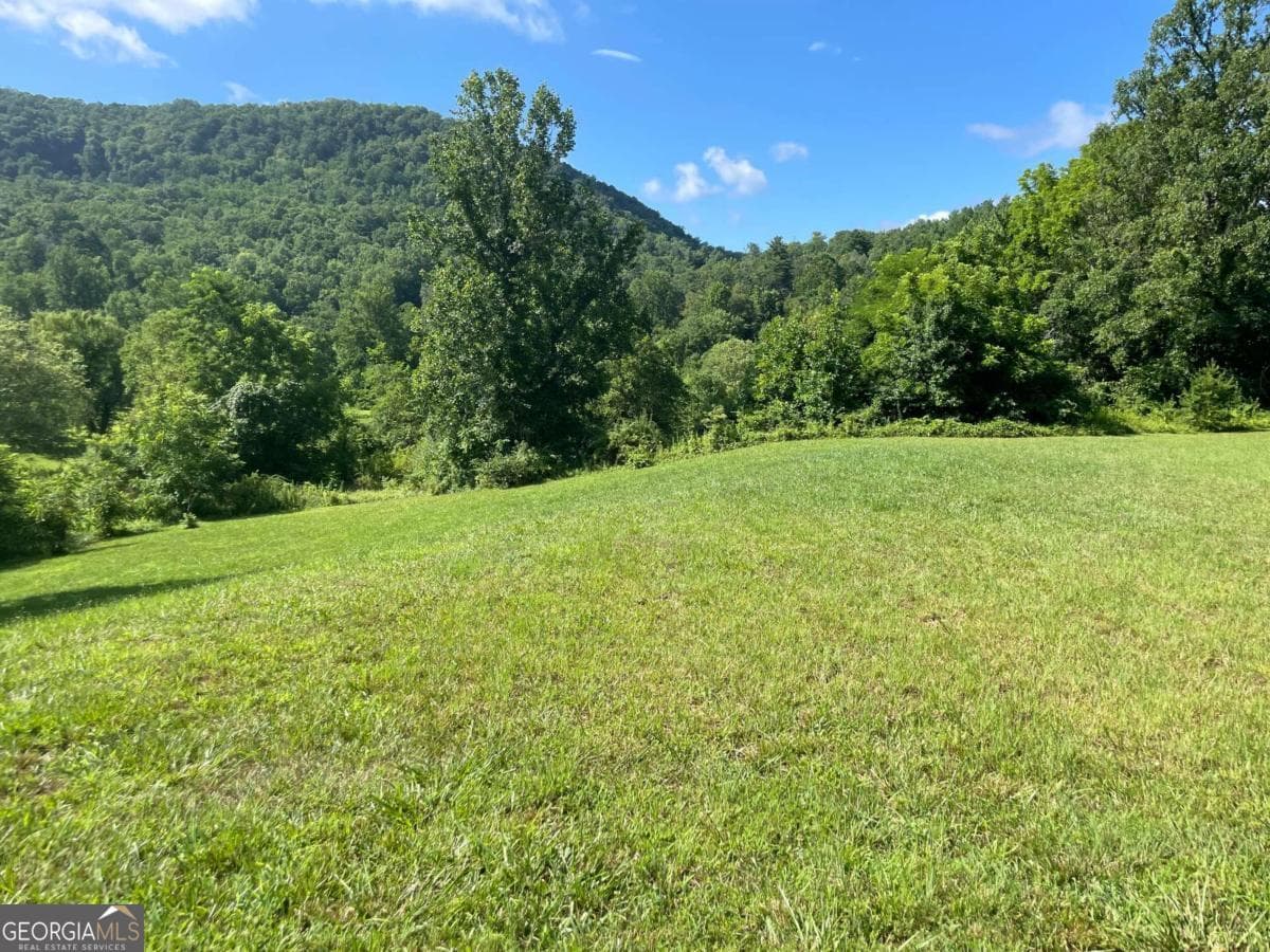 unimproved land for sale at 0 Mountain Ridge Drive, Rabun Gap, GA 30568 — photo 9