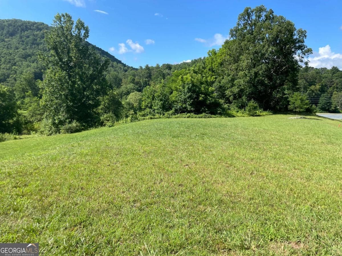unimproved land for sale at 0 Mountain Ridge Drive, Rabun Gap, GA 30568 — photo 10
