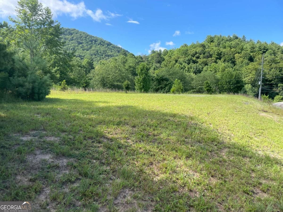 unimproved land for sale at 0 Mountain Ridge Drive, Rabun Gap, GA 30568 — photo 8