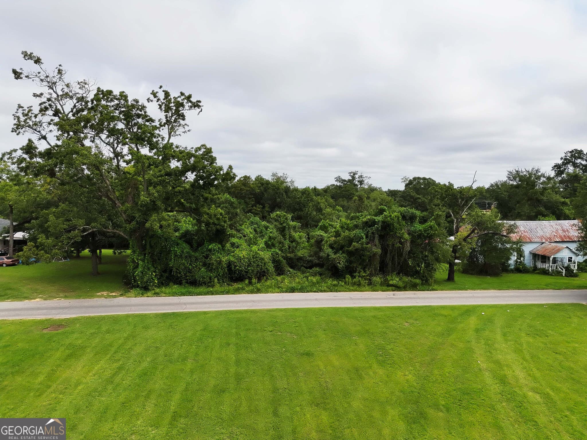 residential lot for sale at 0 Castleberry Street, Pelham, GA 31779 — photo 2