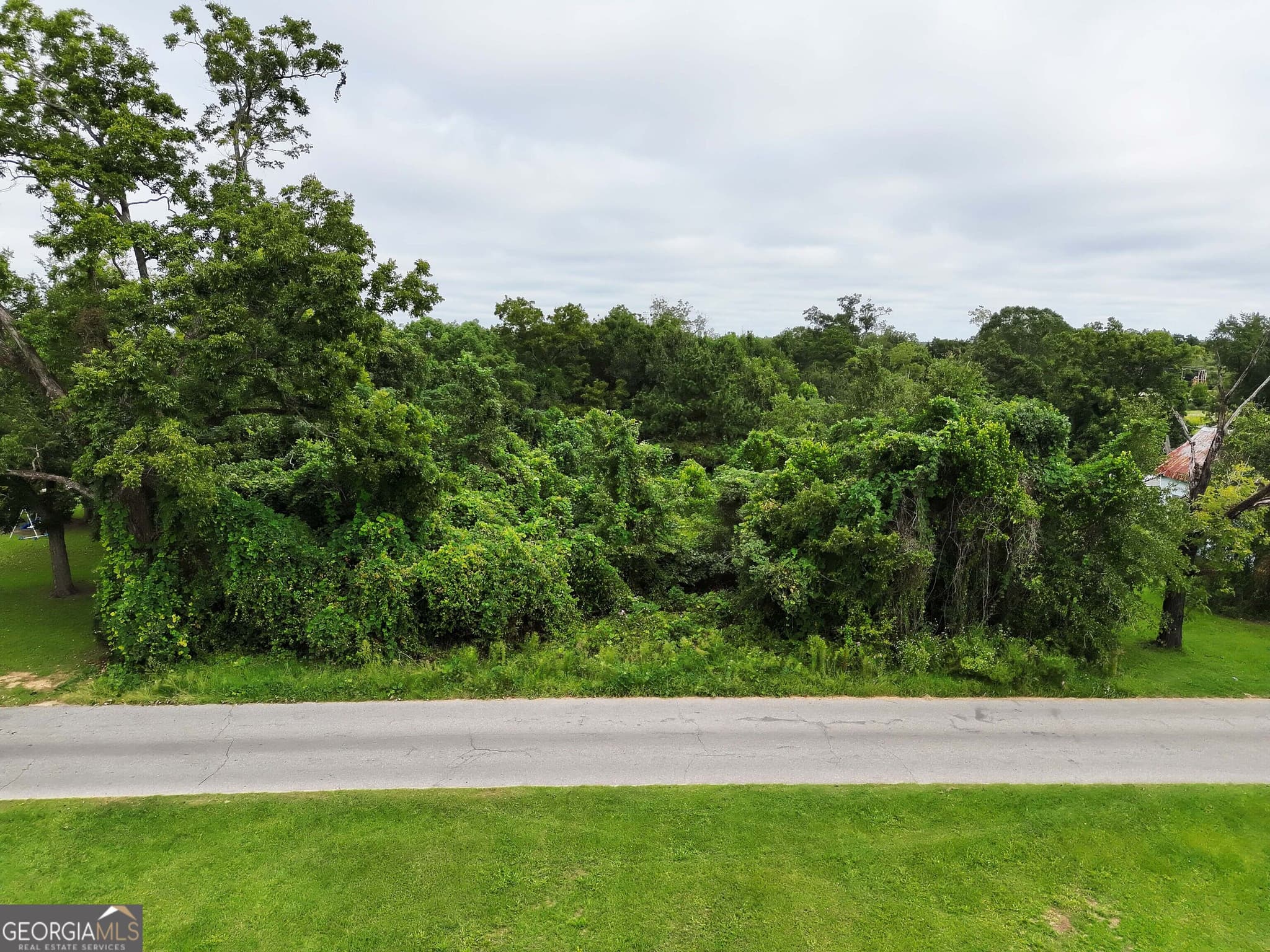 residential lot for sale at 0 Castleberry Street, Pelham, GA 31779 — photo 3