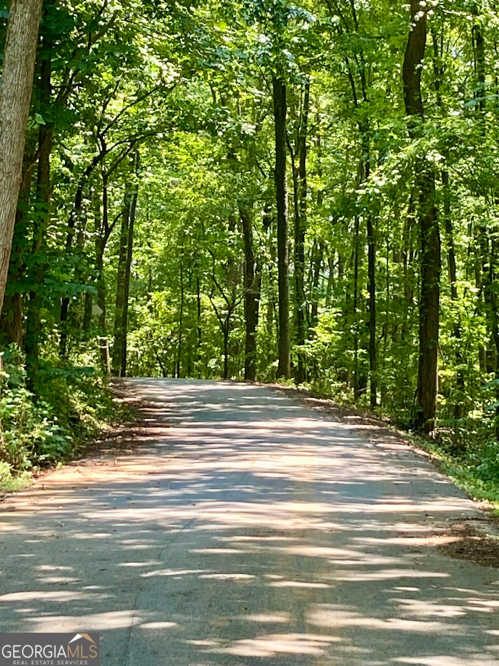 residential lot for sale at 0 Old White Oak Cemetery Road, Dallas, GA 30157 — photo 2