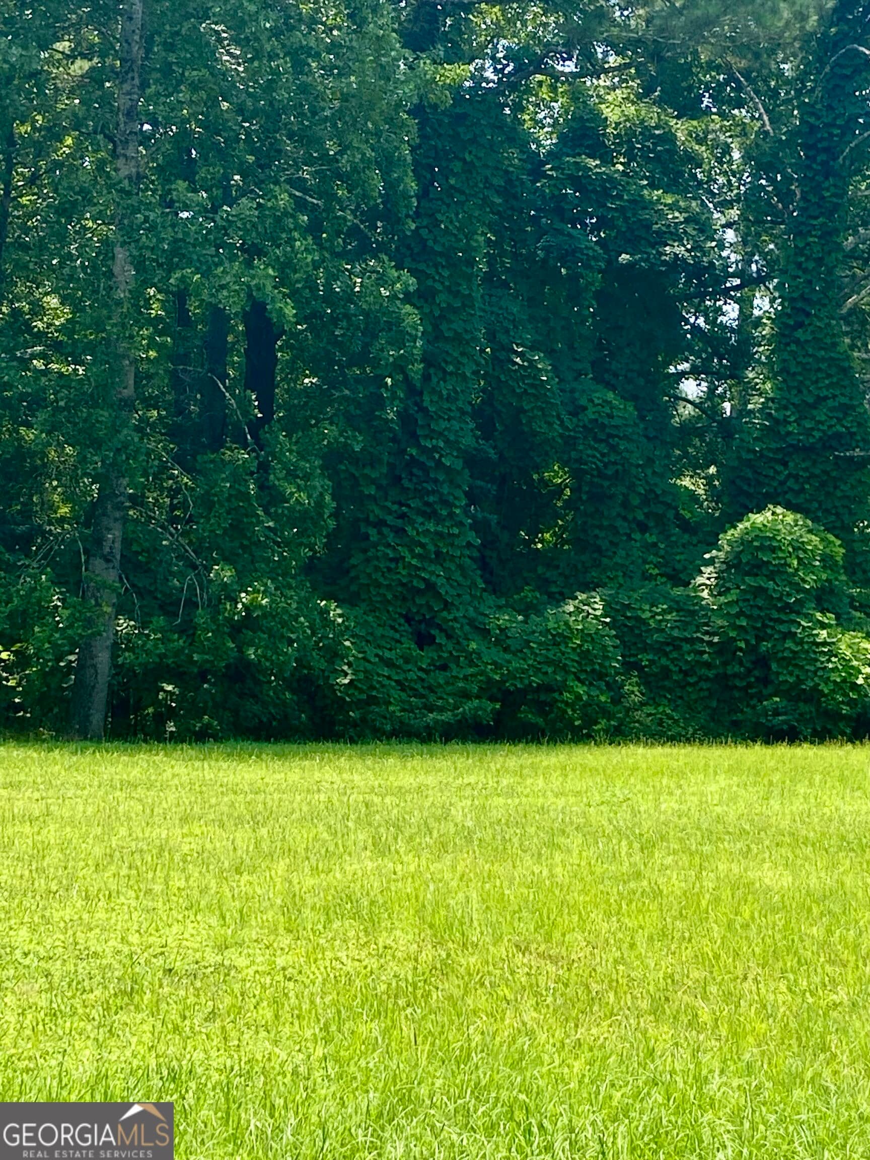 residential lot for sale at 0 Old White Oak Cemetery Road, Dallas, GA 30157 — photo 4
