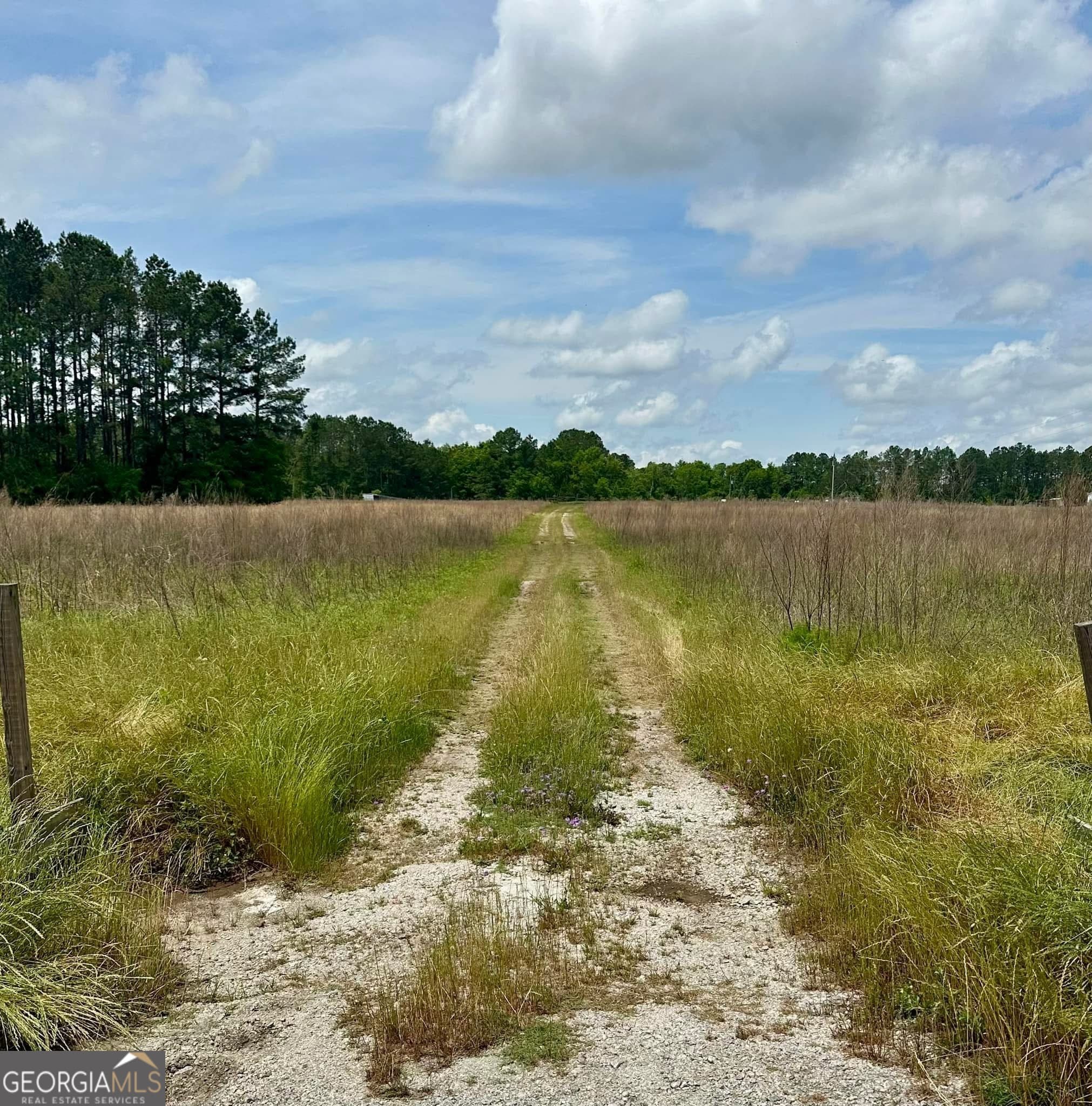 agriculture sold at 5324 Statesboro Highway, Sylvania, GA 30467