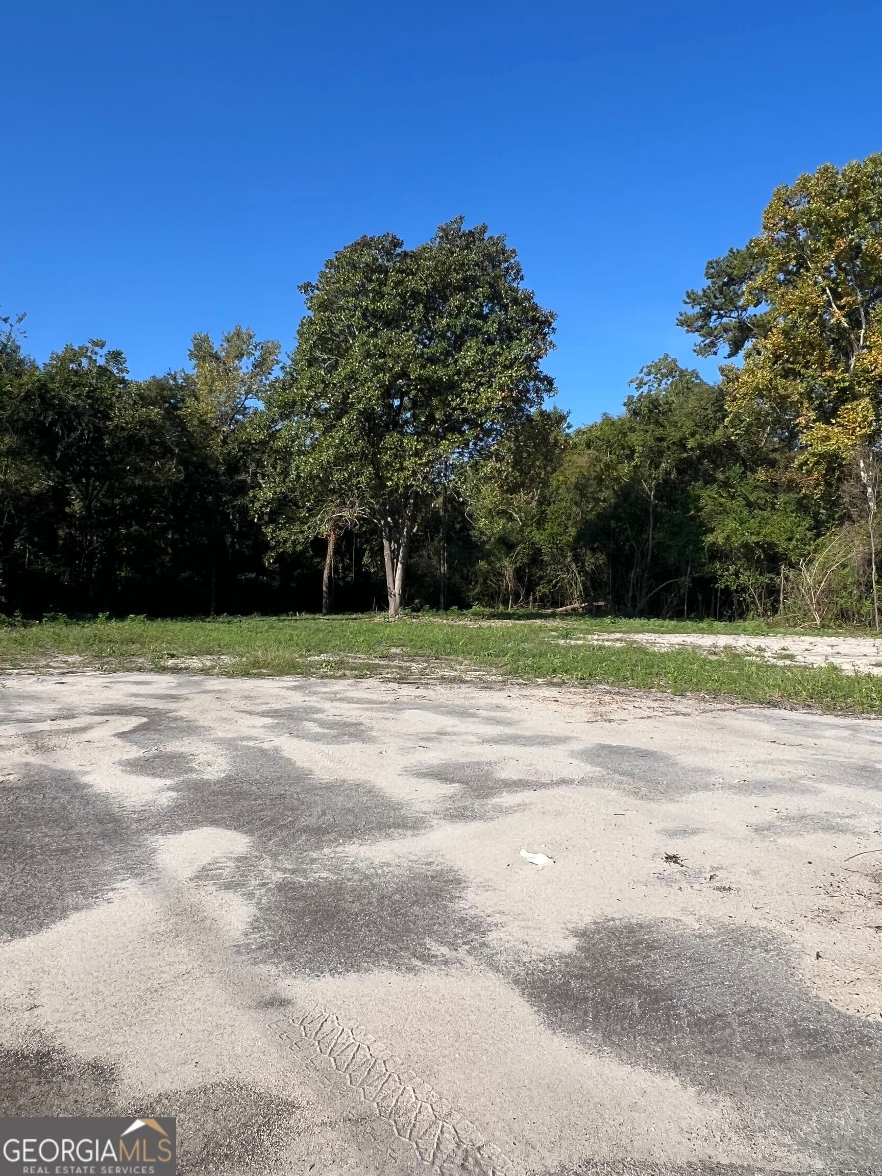 residential lot for sale at 2116 S GA HWY 300, Cordele, GA 31015 — photo 7