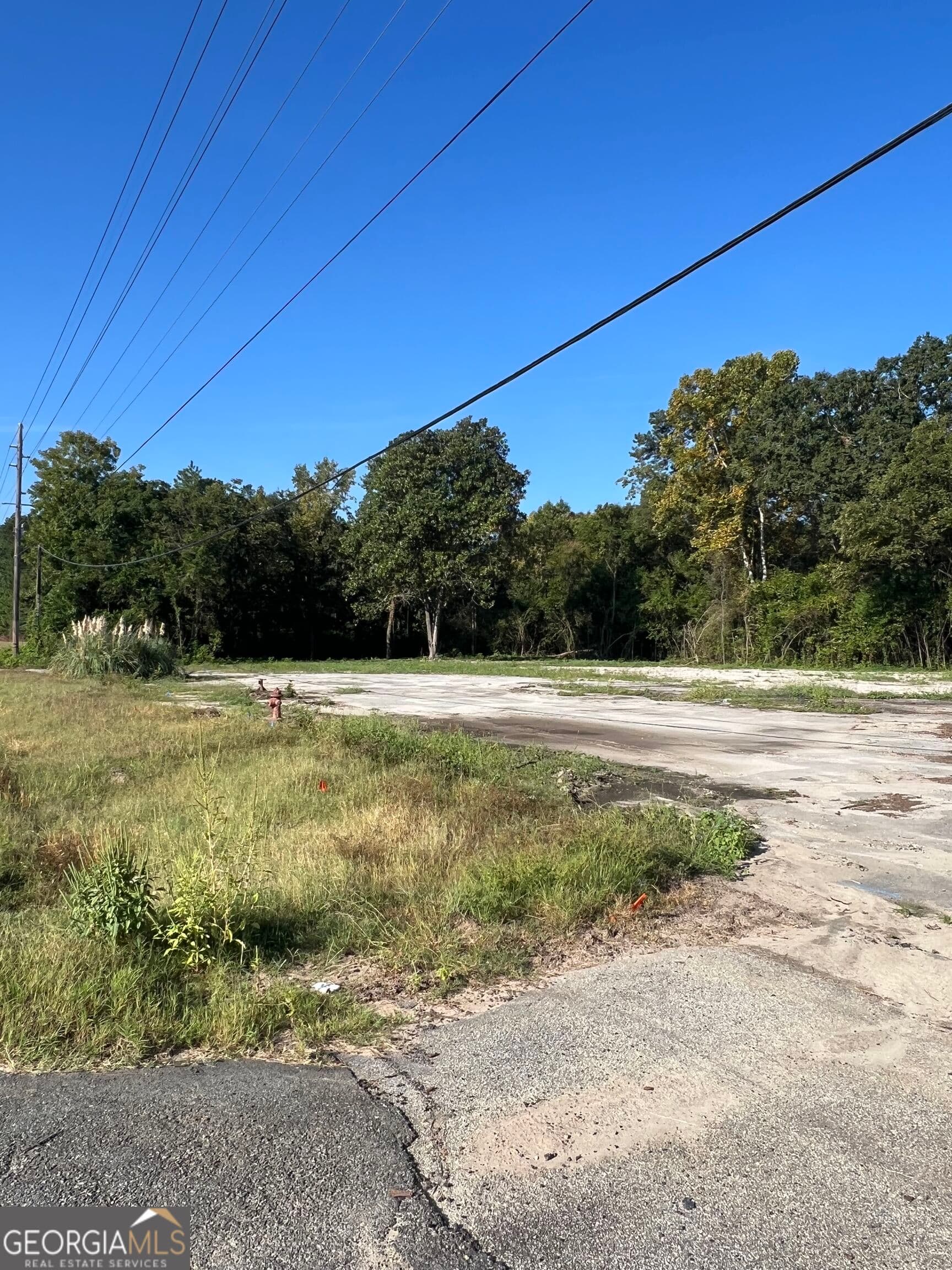 residential lot for sale at 2116 S GA HWY 300, Cordele, GA 31015 — photo 4