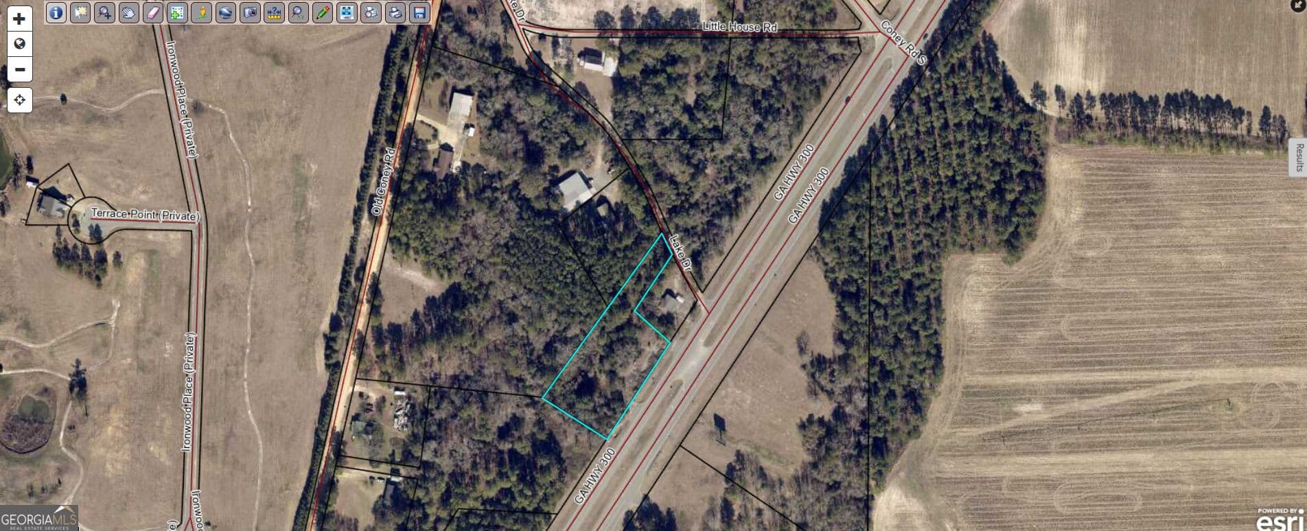 residential lot for sale at 2116 S GA HWY 300, Cordele, GA 31015 — photo 8