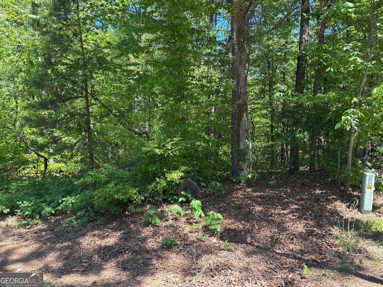 residential lot for sale at LOT 15 Cross Creek Drive, Toccoa, GA 30577 — photo 2
