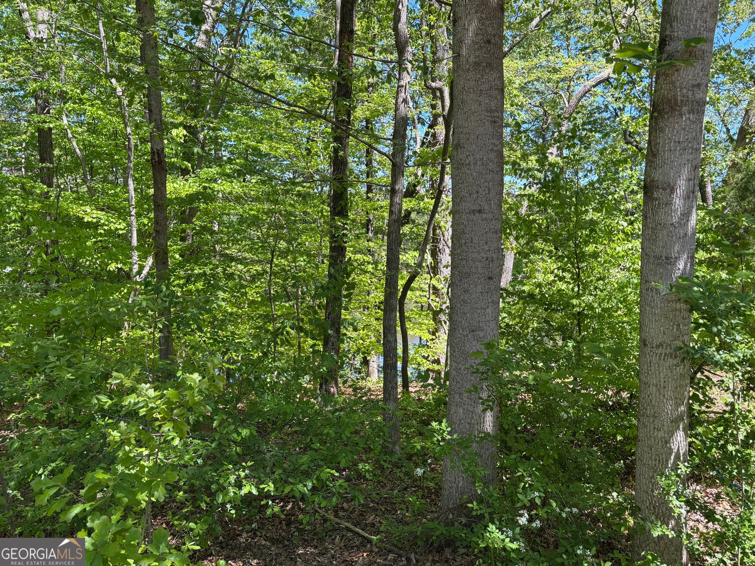 residential lot for sale at LOT 15 Cross Creek Drive, Toccoa, GA 30577 — photo 6