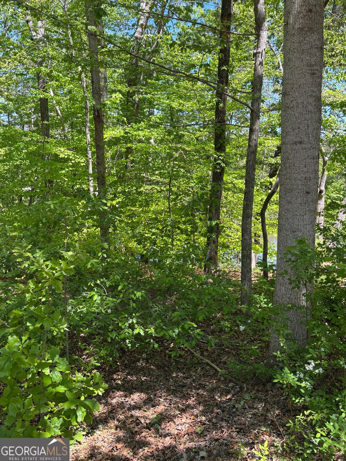 residential lot for sale at LOT 15 Cross Creek Drive, Toccoa, GA 30577 — photo 7