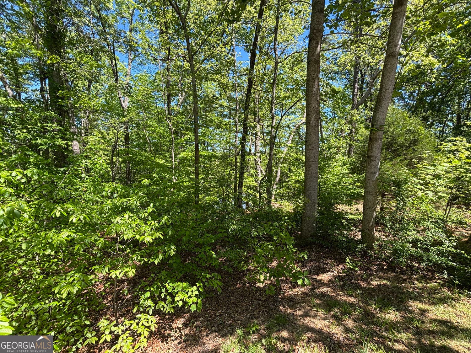 residential lot for sale at LOT 15 Cross Creek Drive, Toccoa, GA 30577 — photo 5