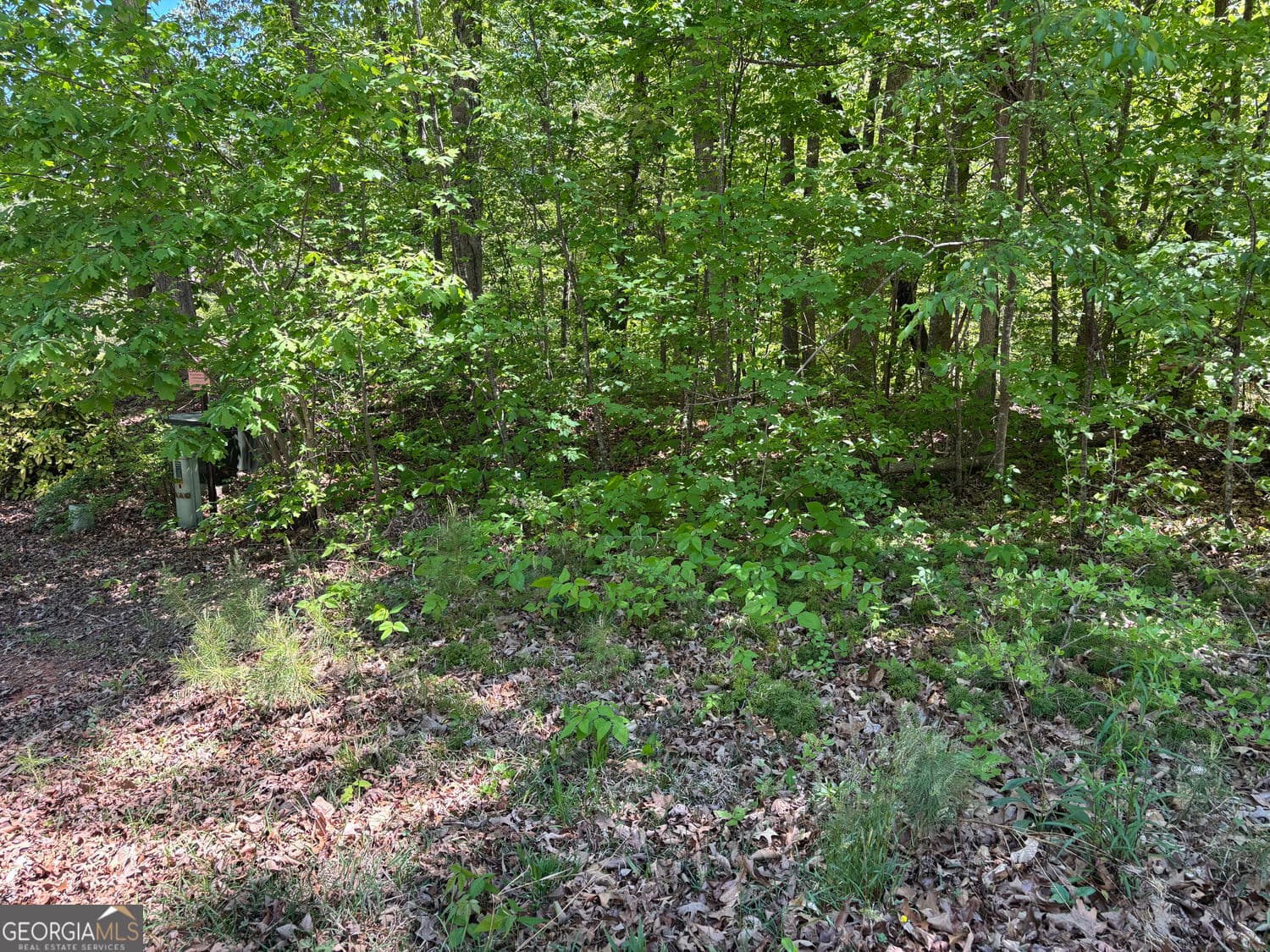 residential lot for sale at LOT 15 Cross Creek Drive, Toccoa, GA 30577 — photo 9