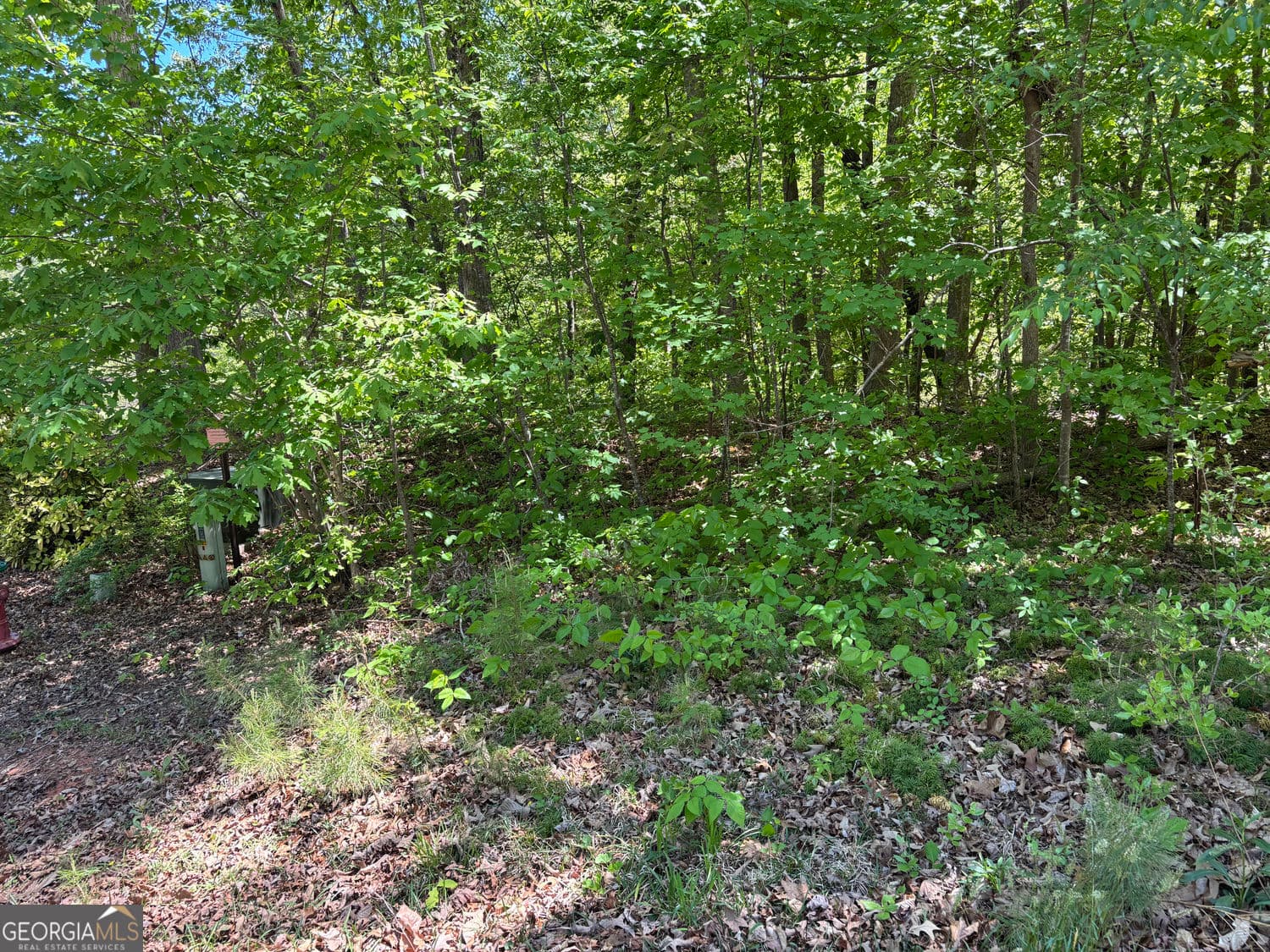 residential lot for sale at LOT 15 Cross Creek Drive, Toccoa, GA 30577 — photo 10