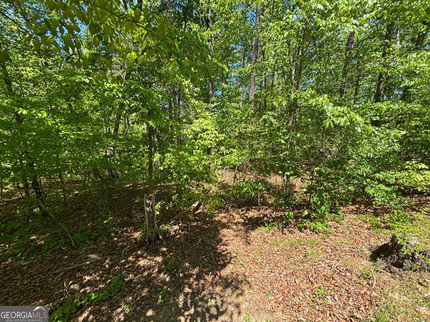residential lot for sale at LOT 15 Cross Creek Drive, Toccoa, GA 30577 — photo 4