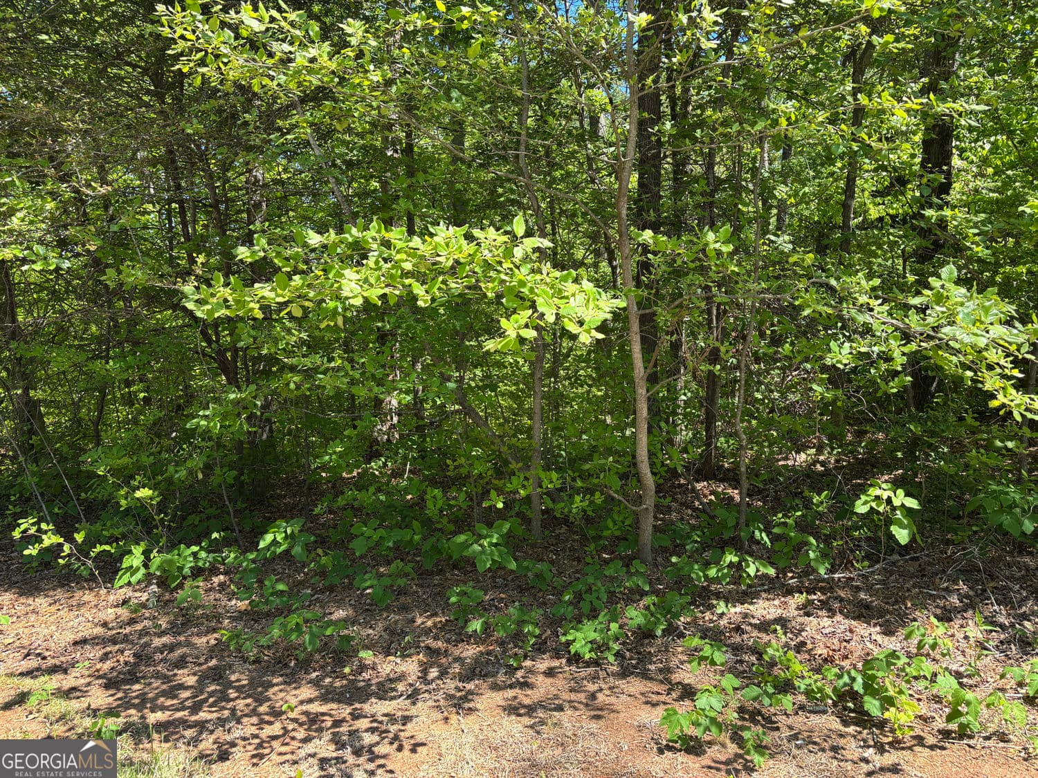 residential lot for sale at LOT 15 Cross Creek Drive, Toccoa, GA 30577 — photo 8