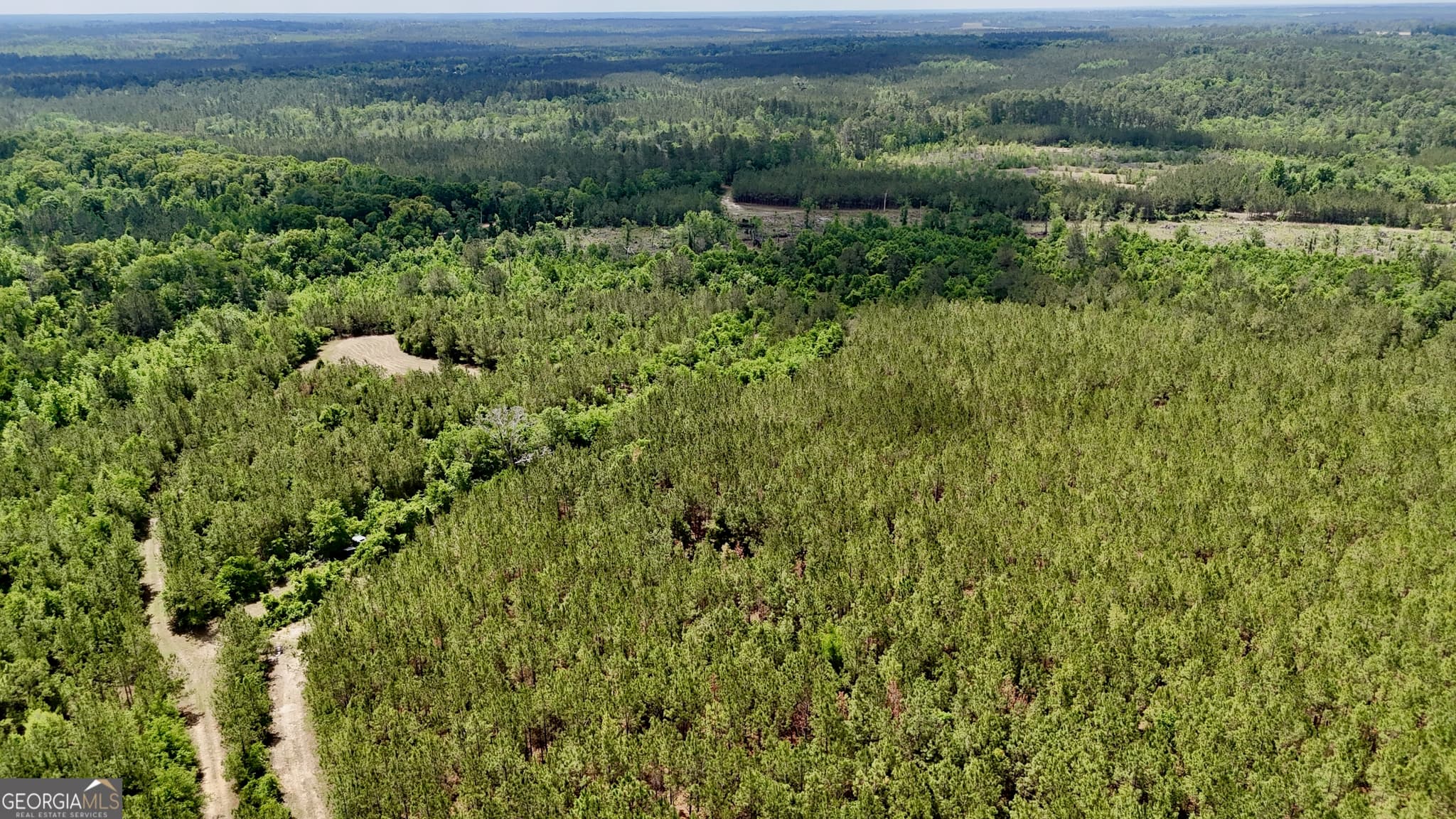 agriculture for sale at 0 Neily Wagon Road, Mcrae-Helena, GA 31055 — photo 2