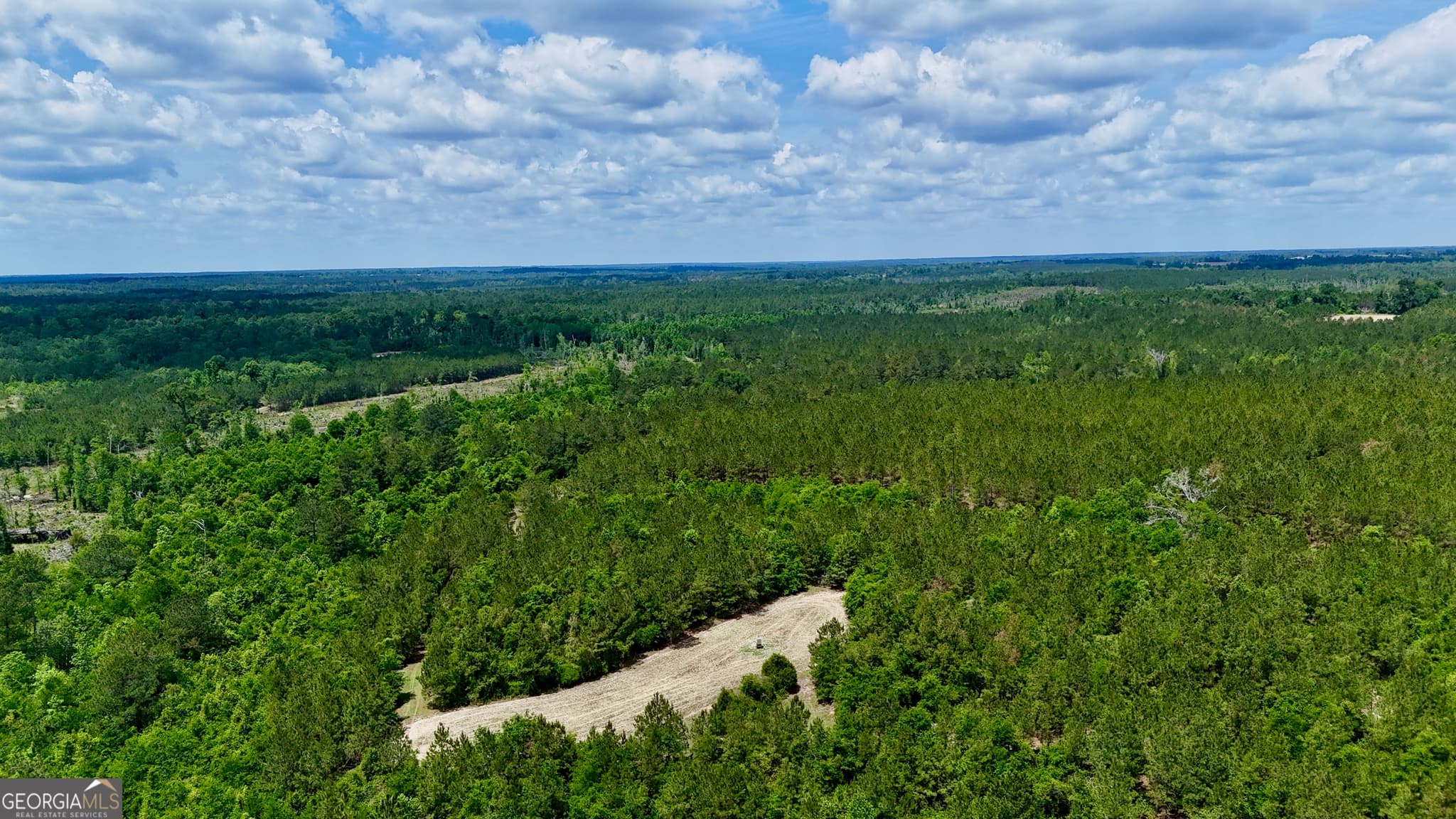 agriculture for sale at 0 Neily Wagon Road, Mcrae-Helena, GA 31055 — photo 6