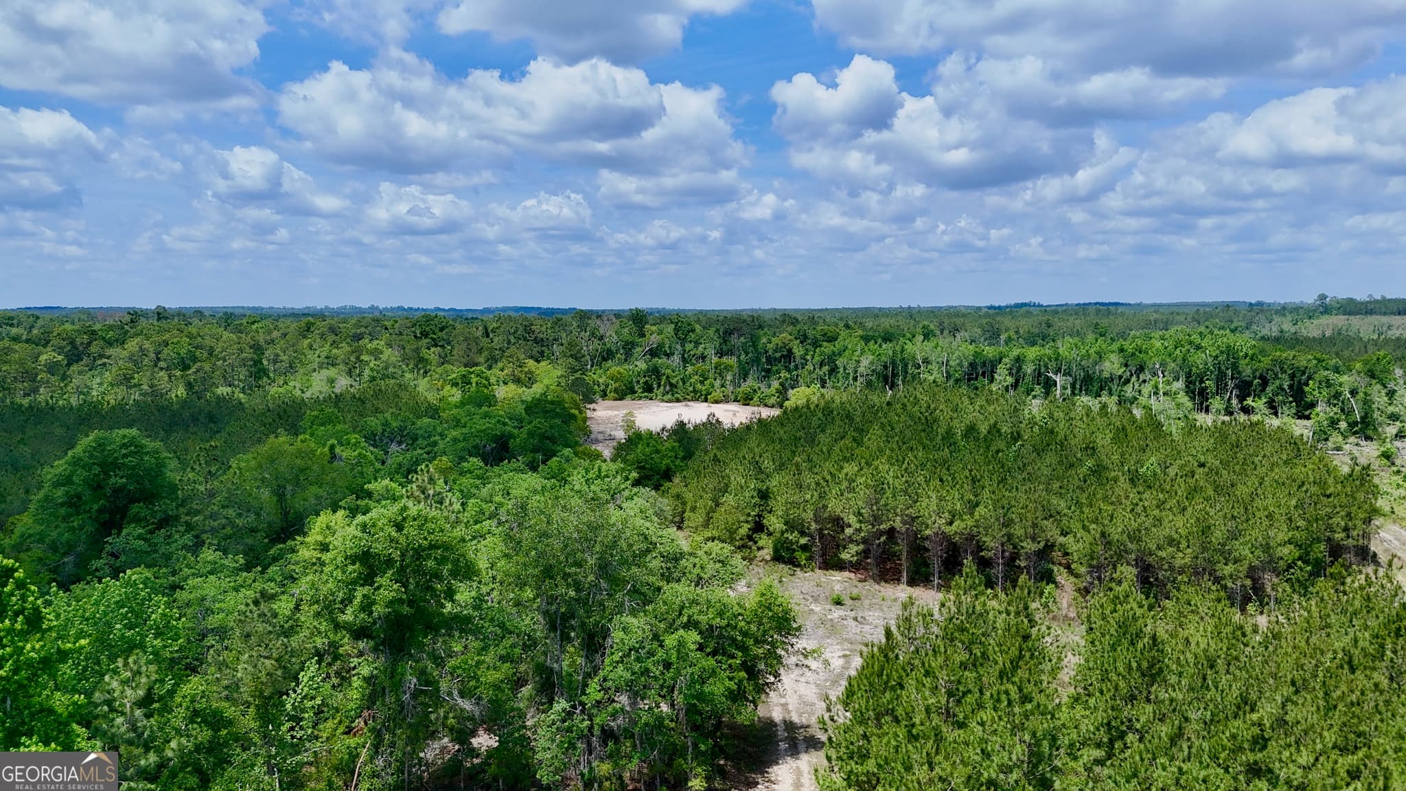 agriculture for sale at 0 Neily Wagon Road, Mcrae-Helena, GA 31055 — photo 7