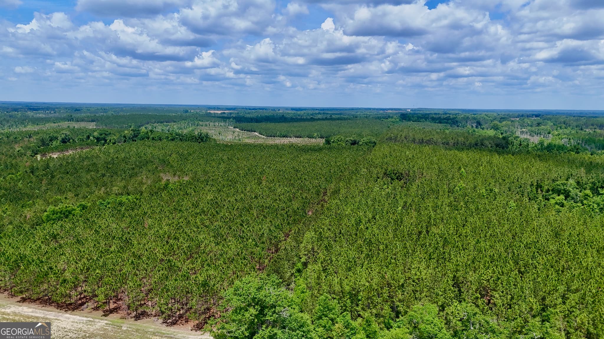 agriculture for sale at 0 Neily Wagon Road, Mcrae-Helena, GA 31055 — photo 3