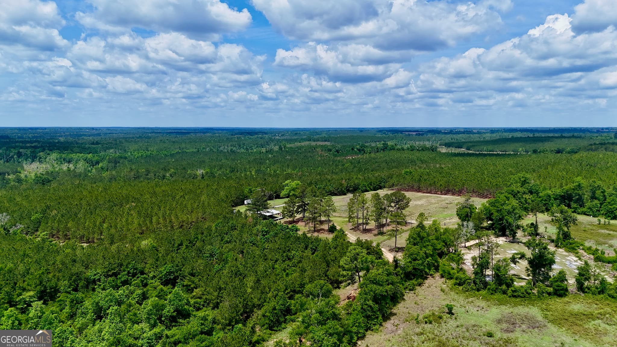 agriculture for sale at 0 Neily Wagon Road, Mcrae-Helena, GA 31055