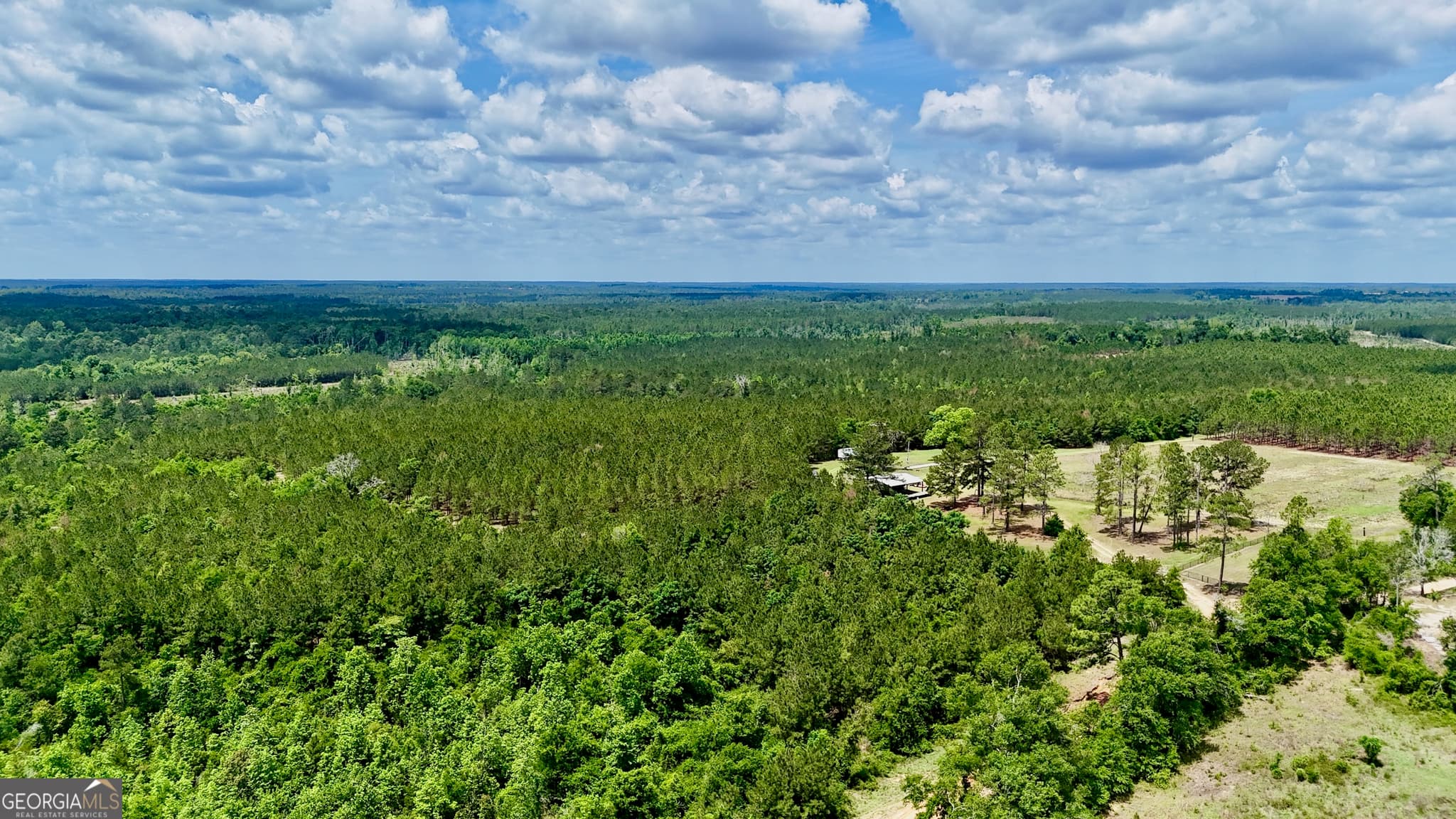 agriculture for sale at 0 Neily Wagon Road, Mcrae-Helena, GA 31055 — photo 5