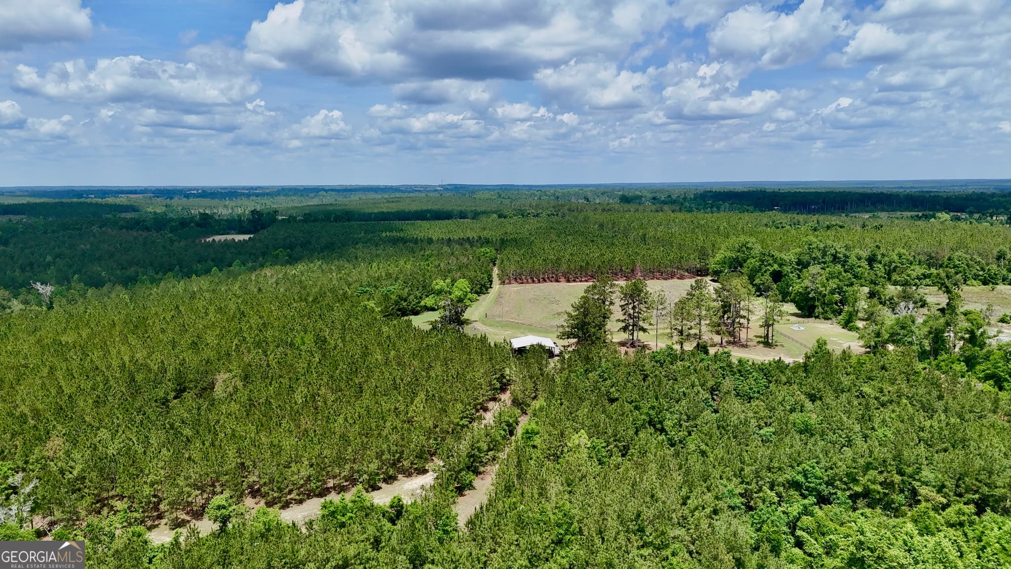 agriculture for sale at 0 Neily Wagon Road, Mcrae-Helena, GA 31055 — photo 9