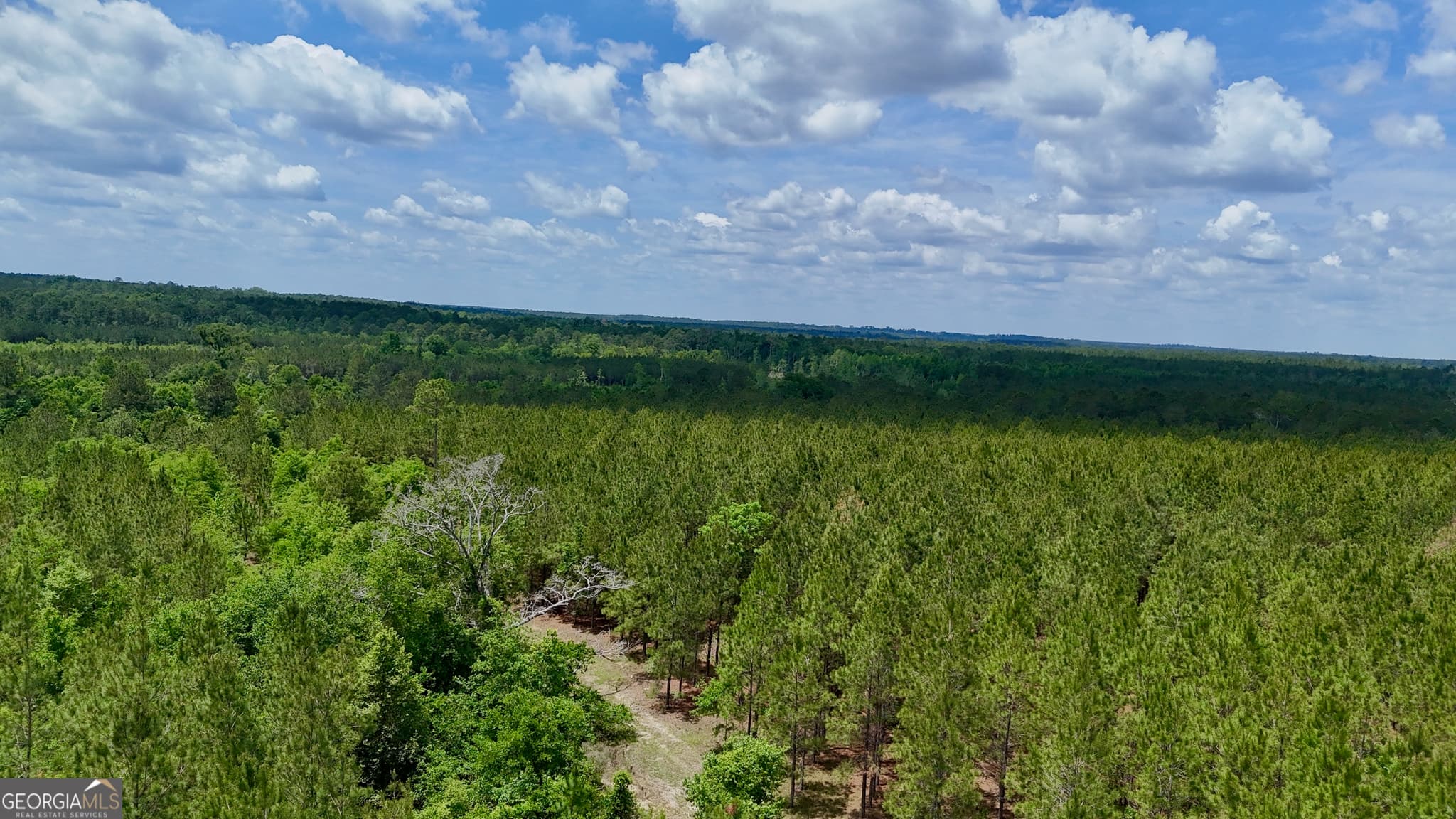 agriculture for sale at 0 Neily Wagon Road, Mcrae-Helena, GA 31055 — photo 10