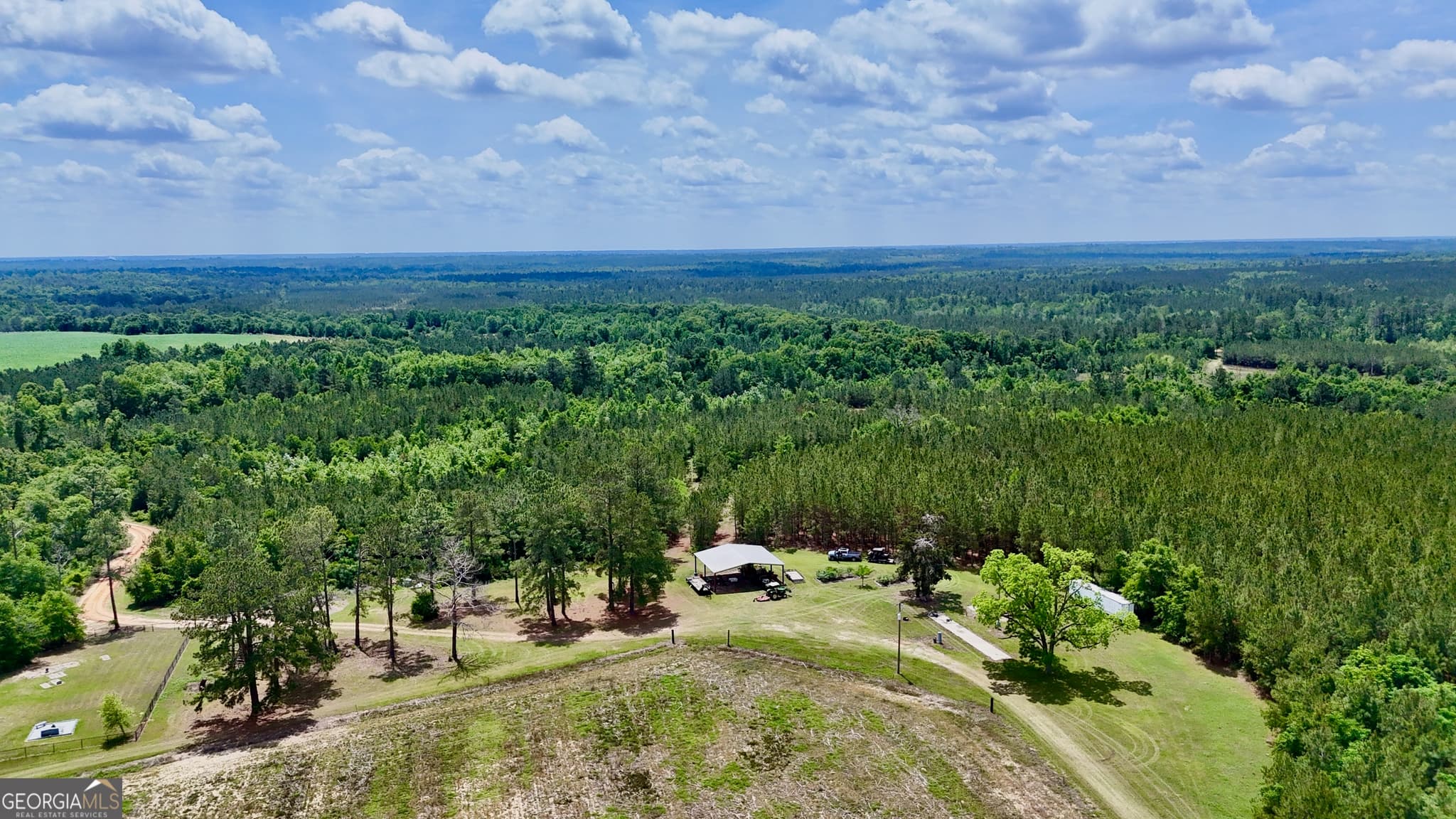 agriculture for sale at 0 Neily Wagon Road, Mcrae-Helena, GA 31055 — photo 4