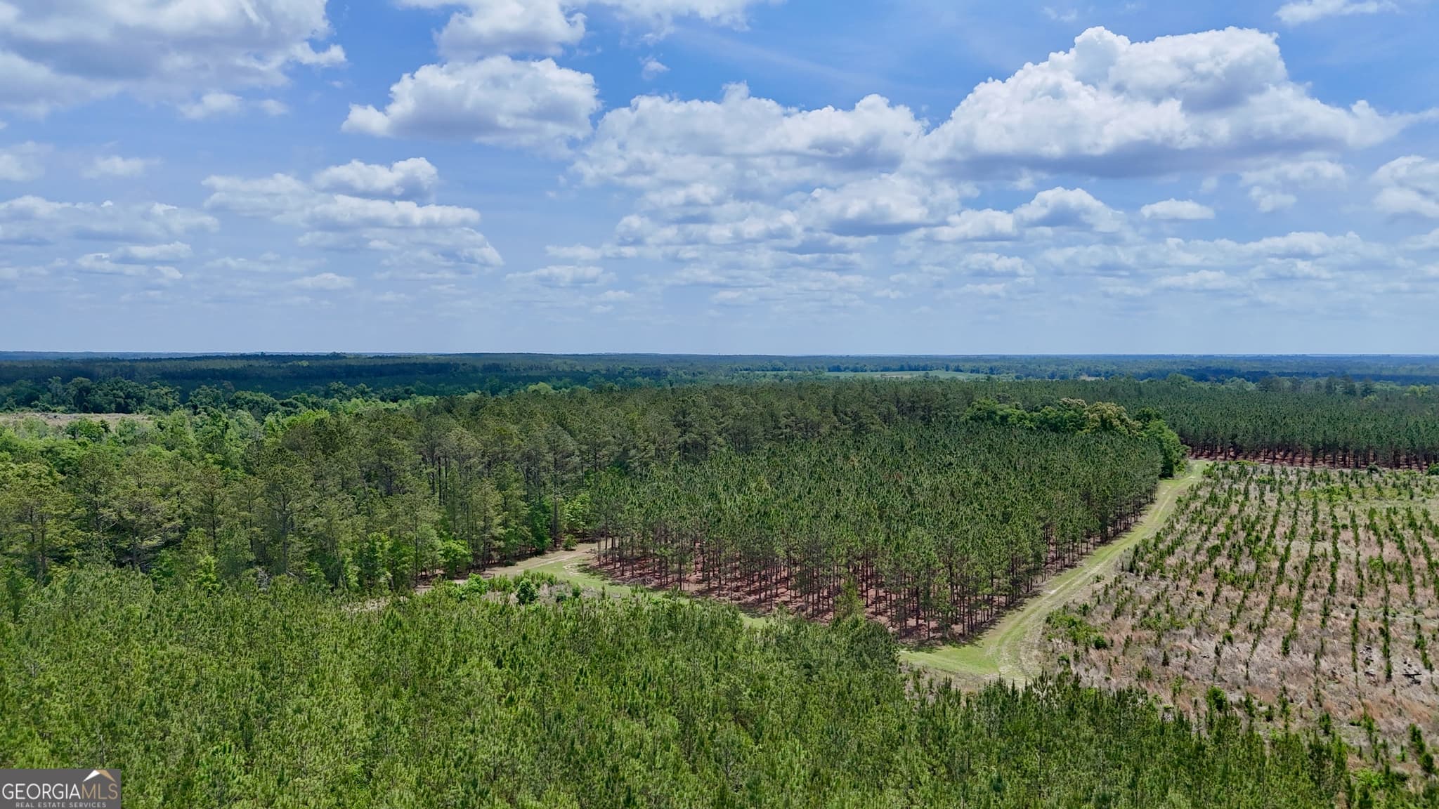 agriculture for sale at 0 Neily Wagon Road, Mcrae-Helena, GA 31055 — photo 8