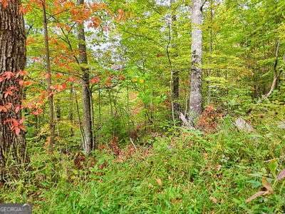 residential lot for sale at LOT 23 Skyview Overlook, Hayesville, NC 28904 — photo 5