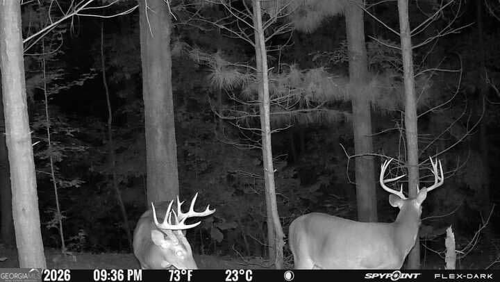 agriculture for sale at 15.62 ACRES Carlisle Gap Road, Woodland, GA 31836 — photo 6