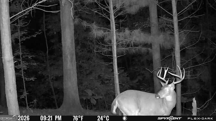 agriculture for sale at 15.62 ACRES Carlisle Gap Road, Woodland, GA 31836 — photo 7