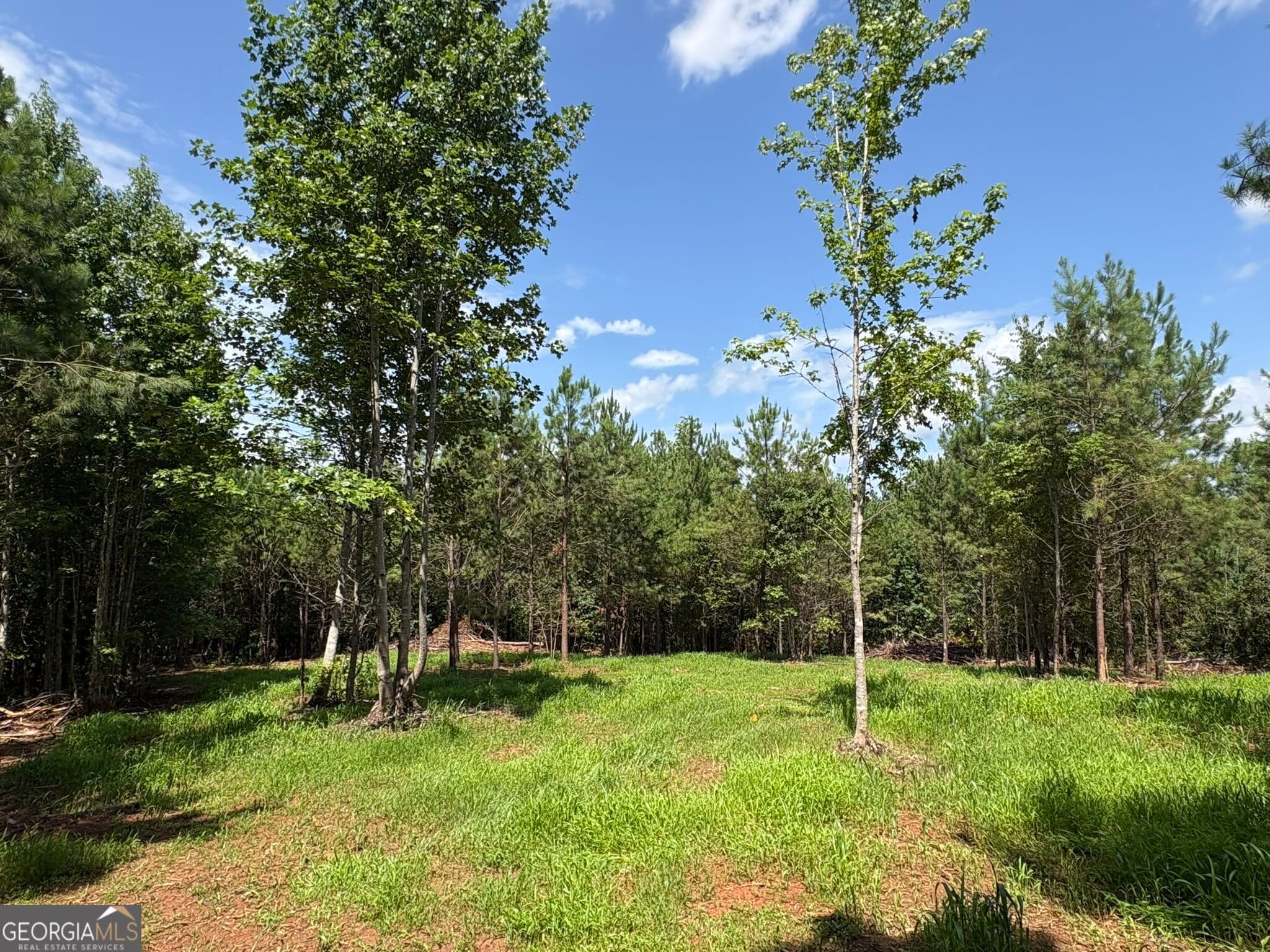 agriculture for sale at 15.62 ACRES Carlisle Gap Road, Woodland, GA 31836 — photo 5