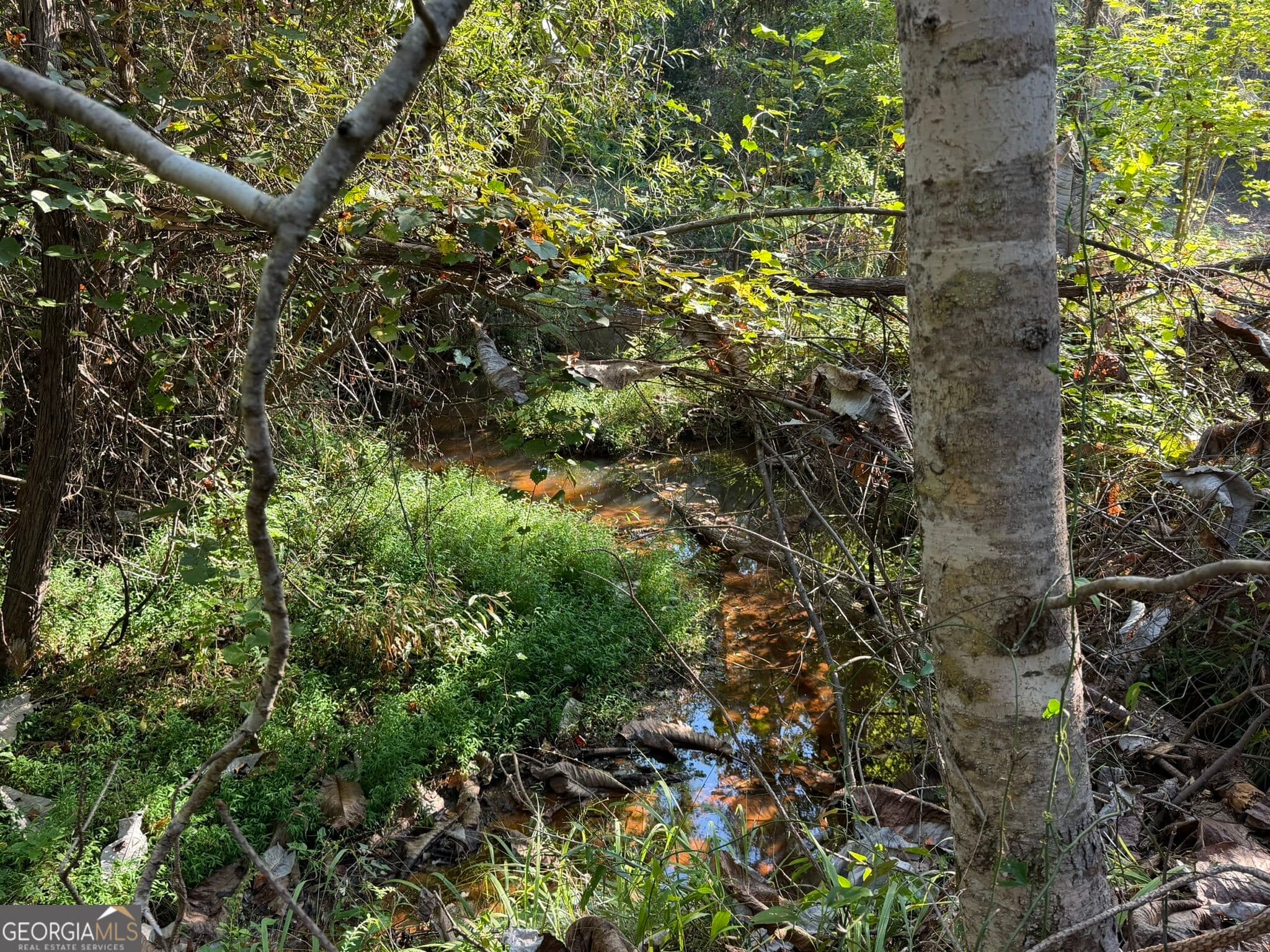agriculture for sale at 15.62 ACRES Carlisle Gap Road, Woodland, GA 31836 — photo 10
