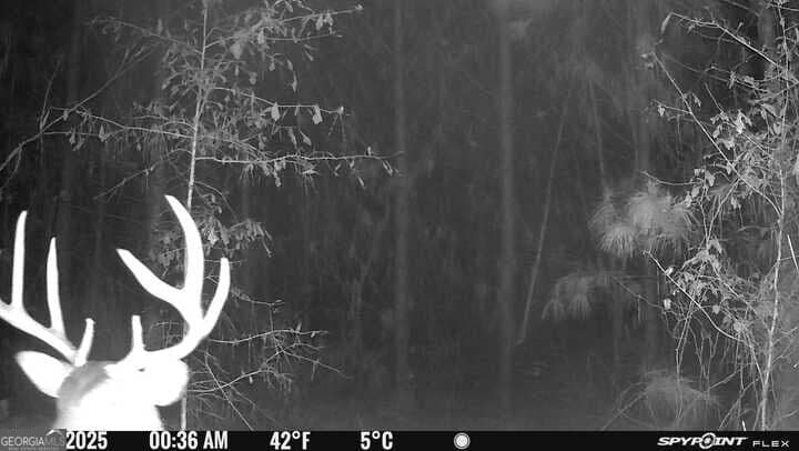 agriculture for sale at 15.62 ACRES Carlisle Gap Road, Woodland, GA 31836 — photo 4